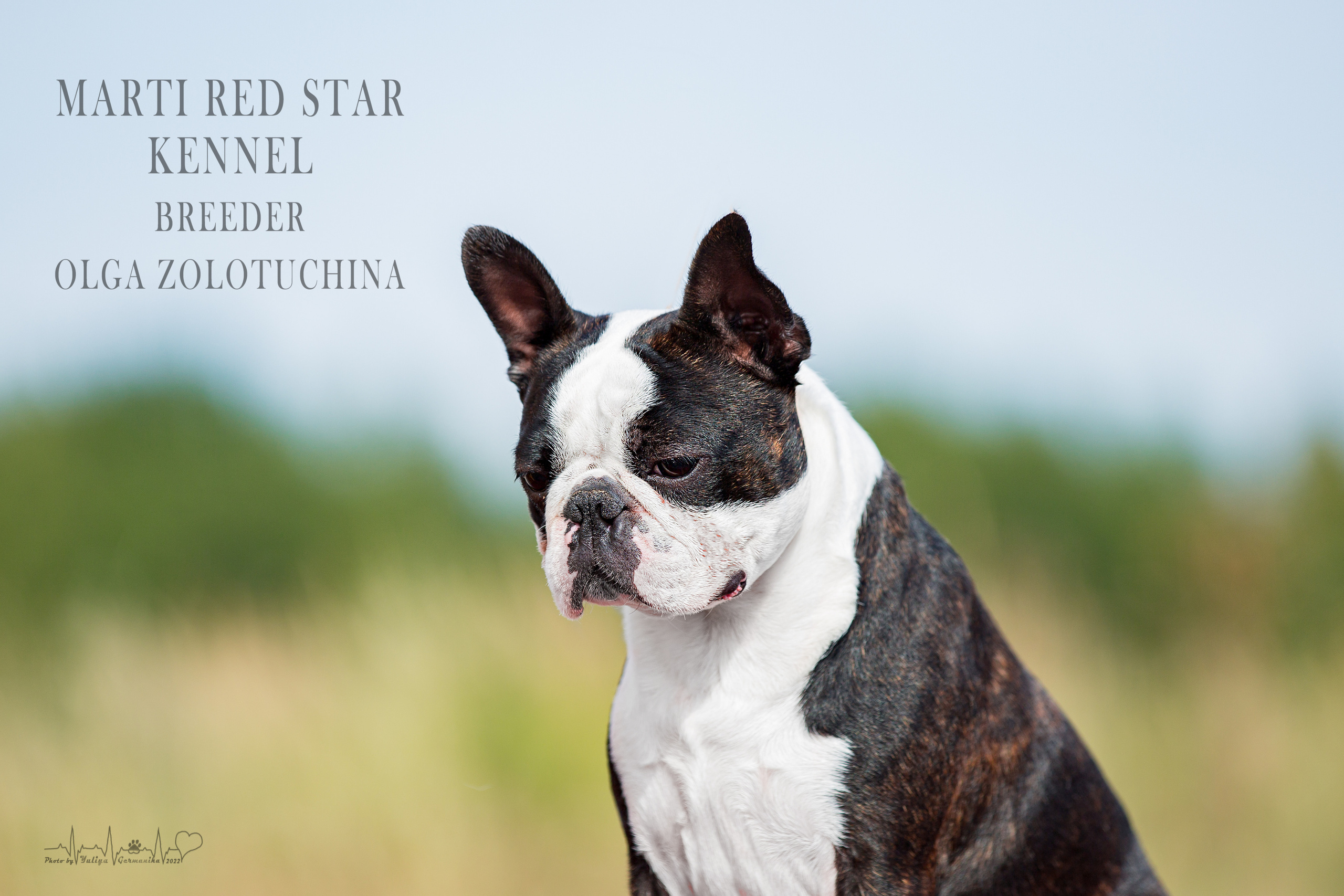 Сокольники 21.08,Сергиев Посад 27-28.08 2022. Фотограф-анималист Юлия Германика