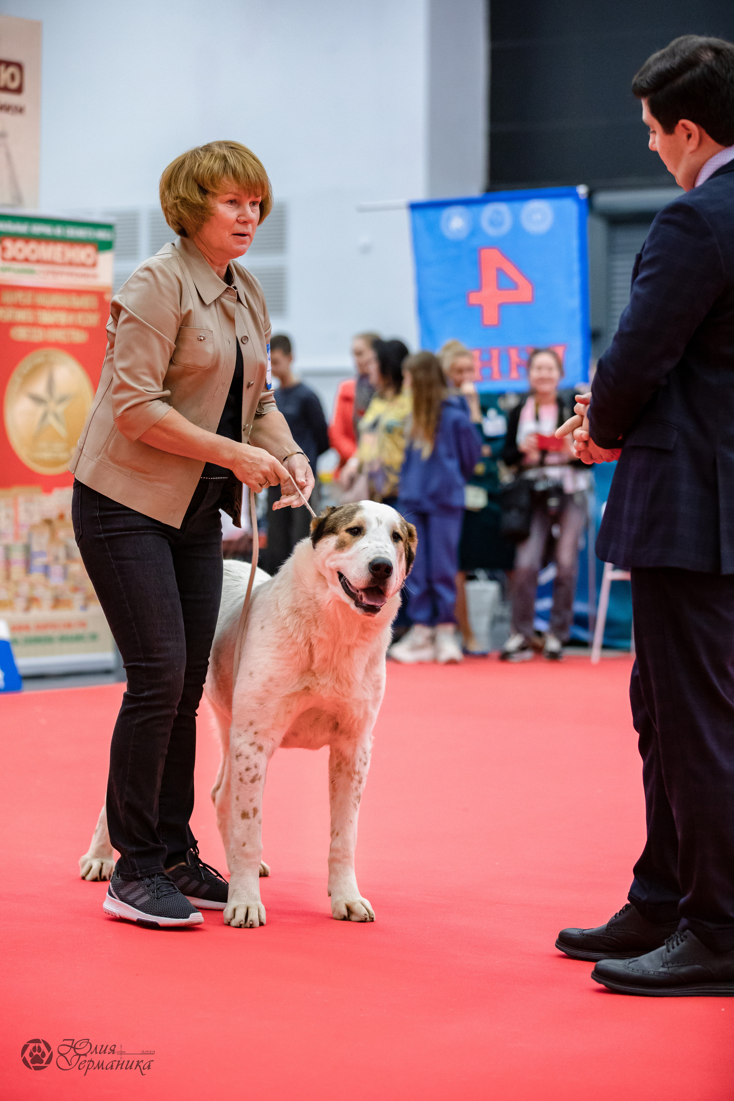 Нижний Новгород 15-16.10.2022. Фотограф-анималист Юлия Германика
