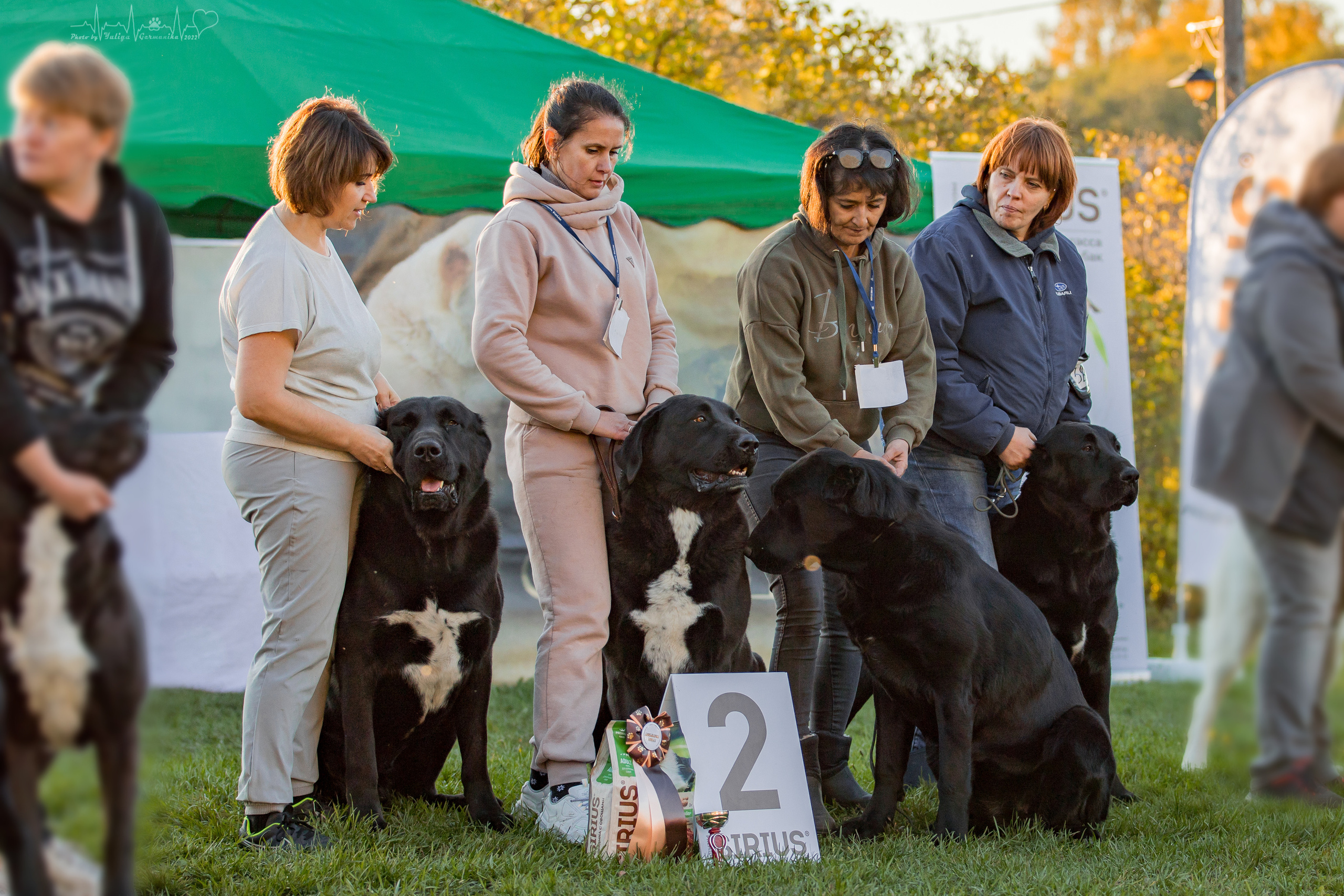 Александрова Слобода моно сао 2.10.2022. Фотограф-анималист Юлия Германика