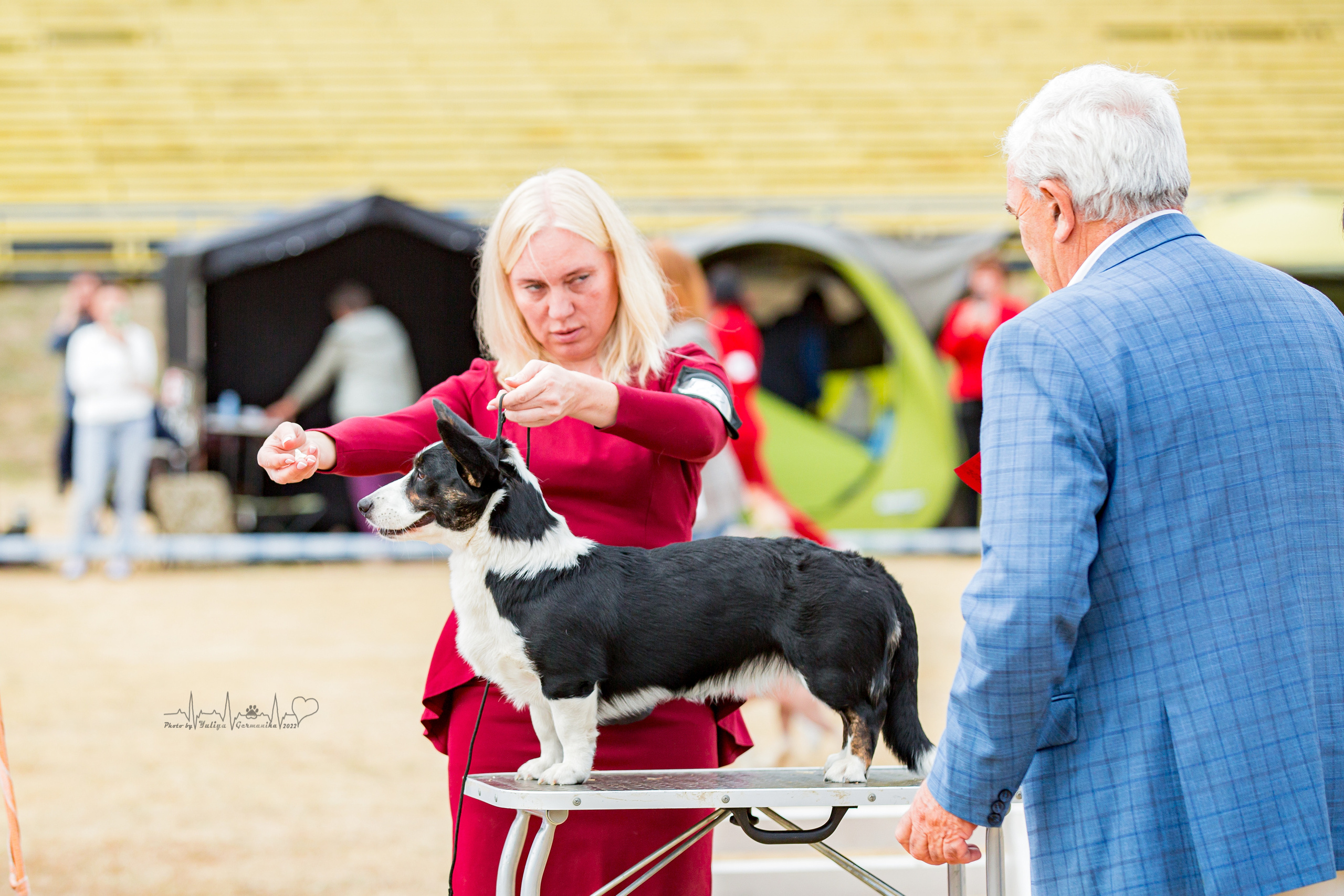 Минск 2хCACIB 3-4.09.2022. Фотограф-анималист Юлия Германика