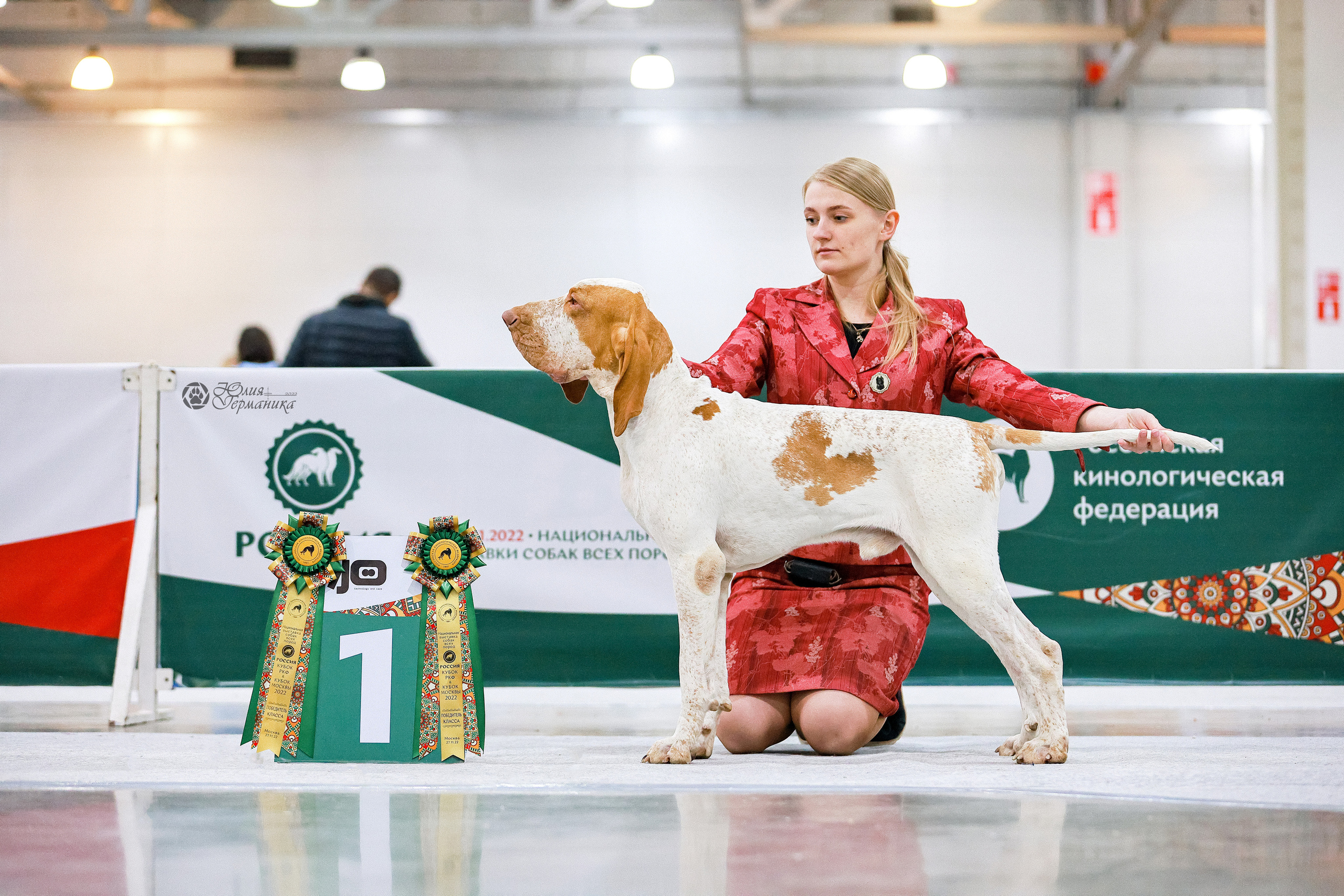 Россия 2020-2022 26-27.11.2022. Фотограф-анималист Юлия Германика