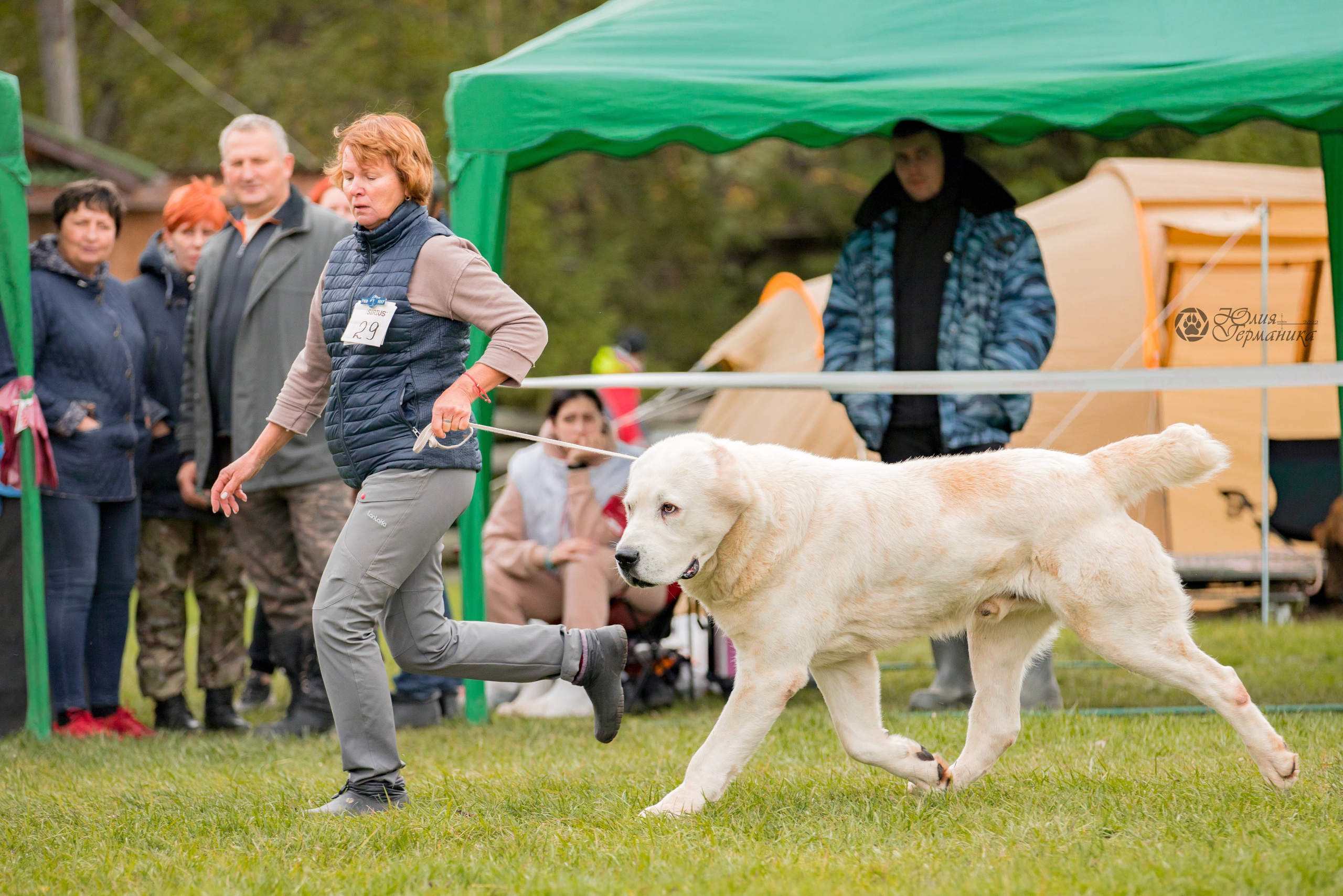 Александрова Слобода моно сао 2.10.2022. Фотограф-анималист Юлия Германика