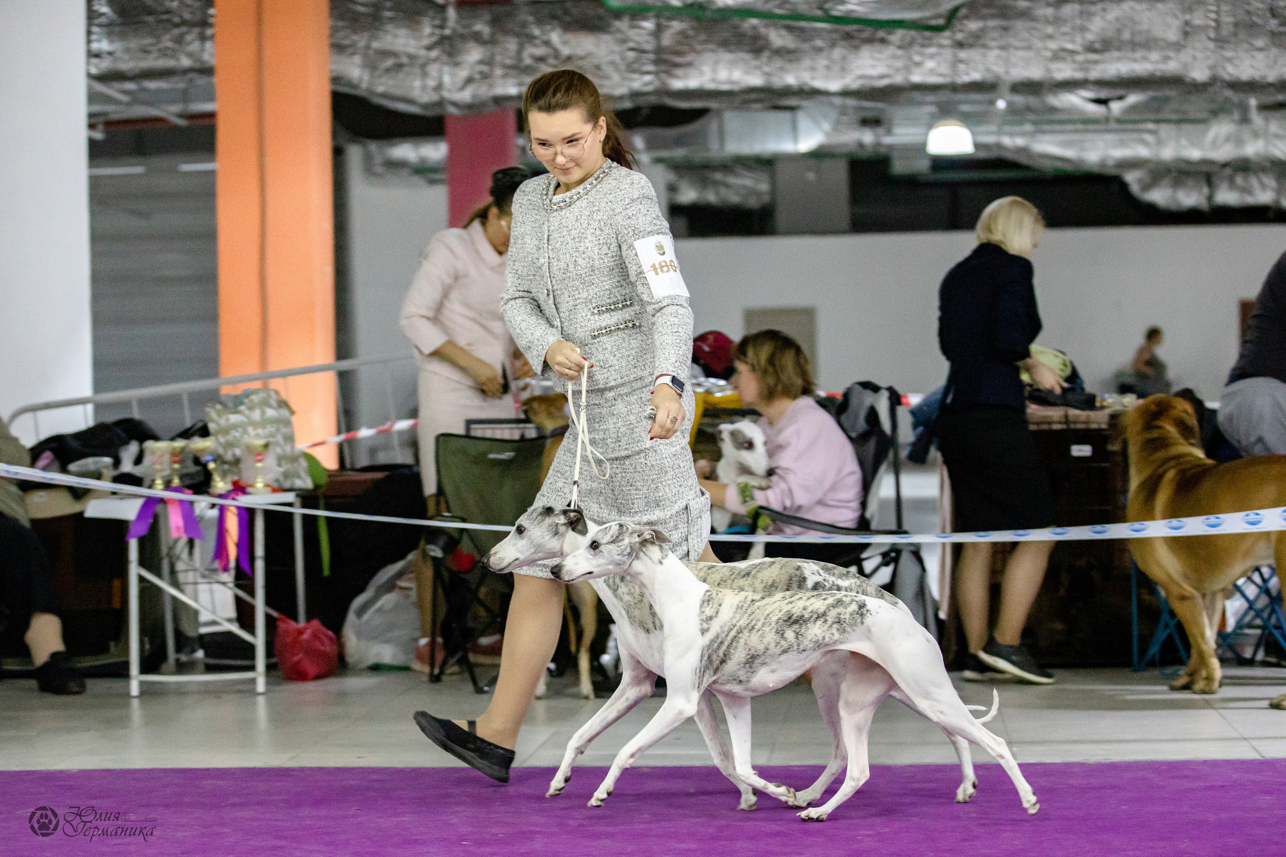 Чайна-Таун 29-30.10.2022. Фотограф-анималист Юлия Германика