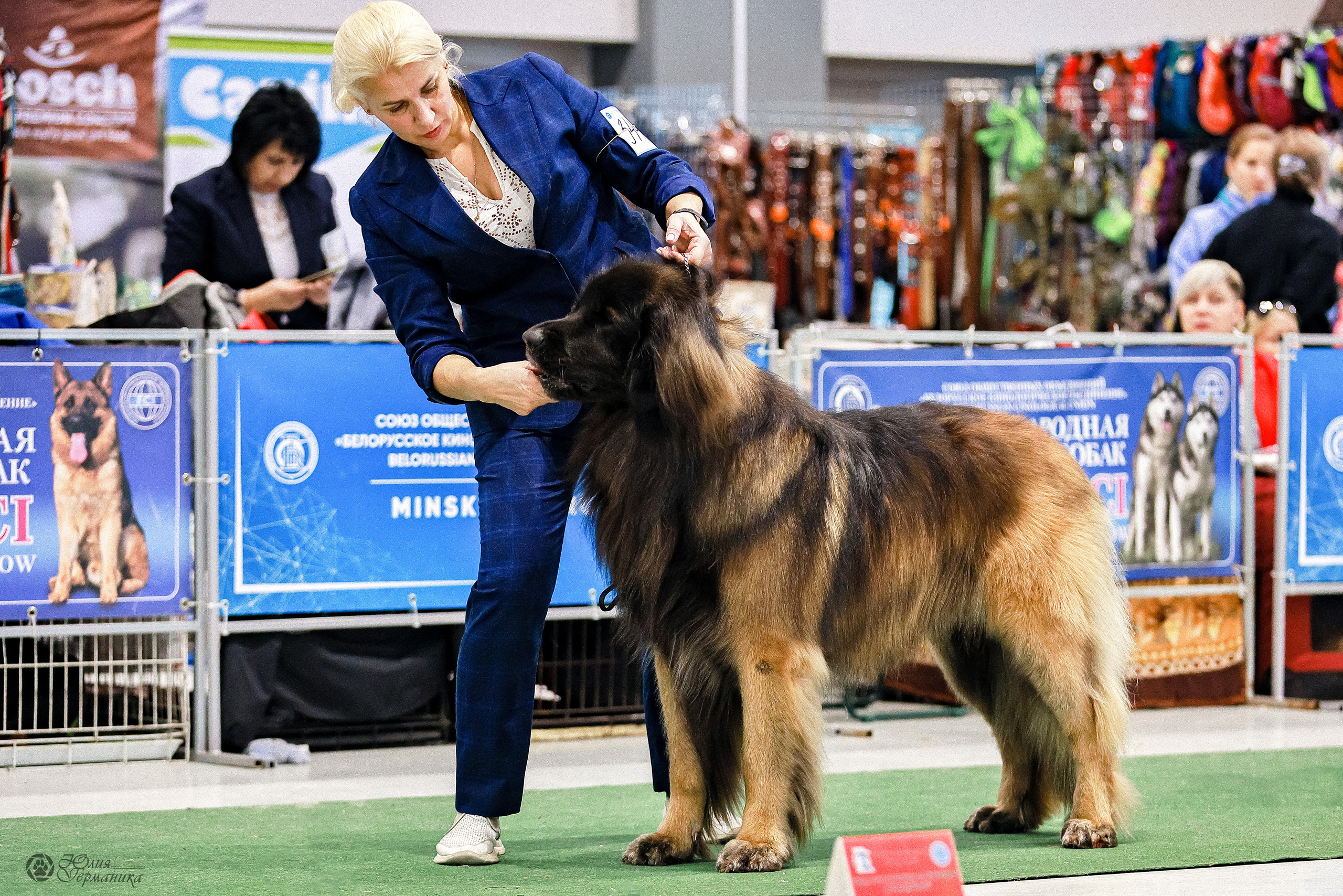 Минск 19-20.11.2022. Фотограф-анималист Юлия Германика