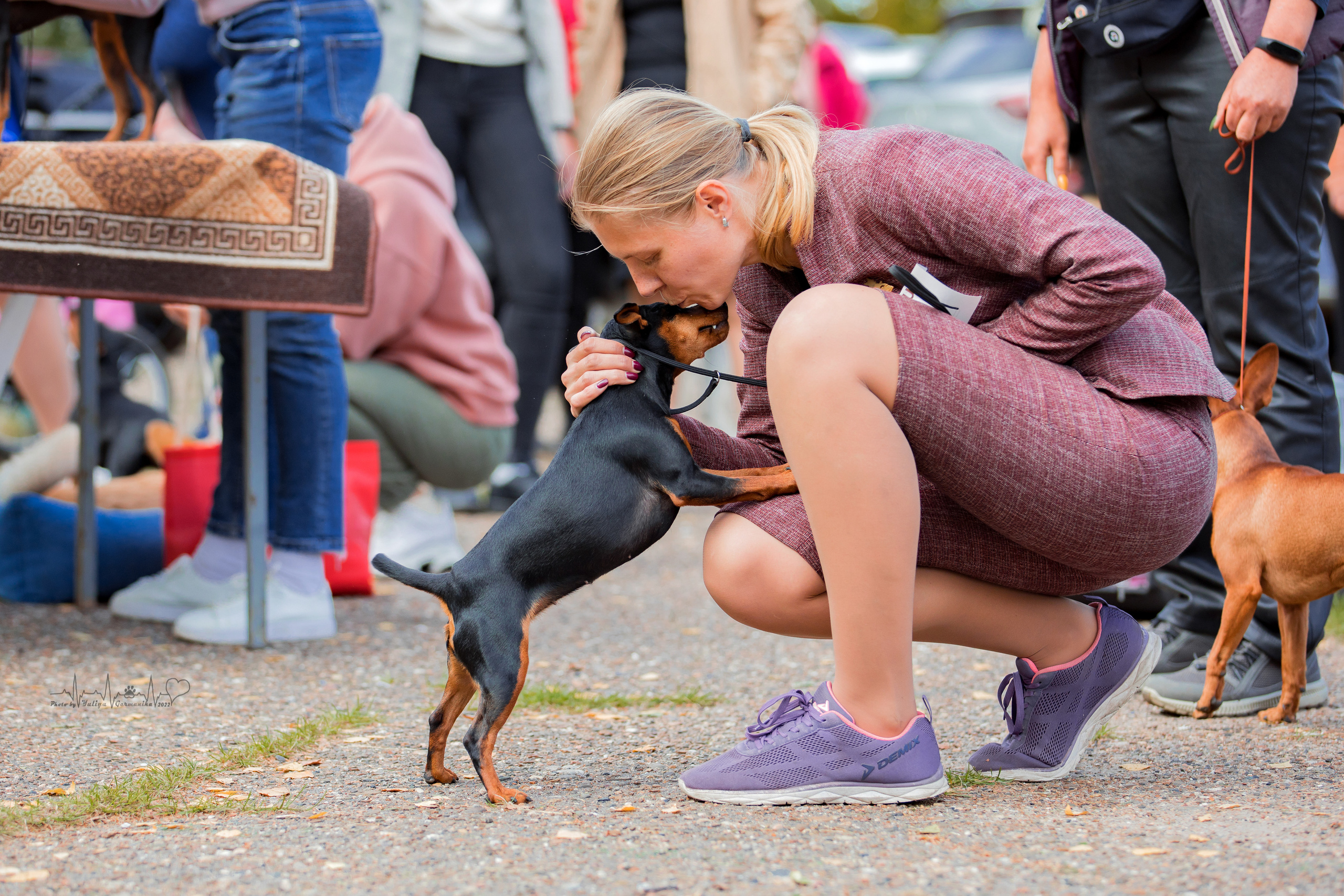 Тверь ЧРКФ 18.09.2022. Фотограф-анималист Юлия Германика