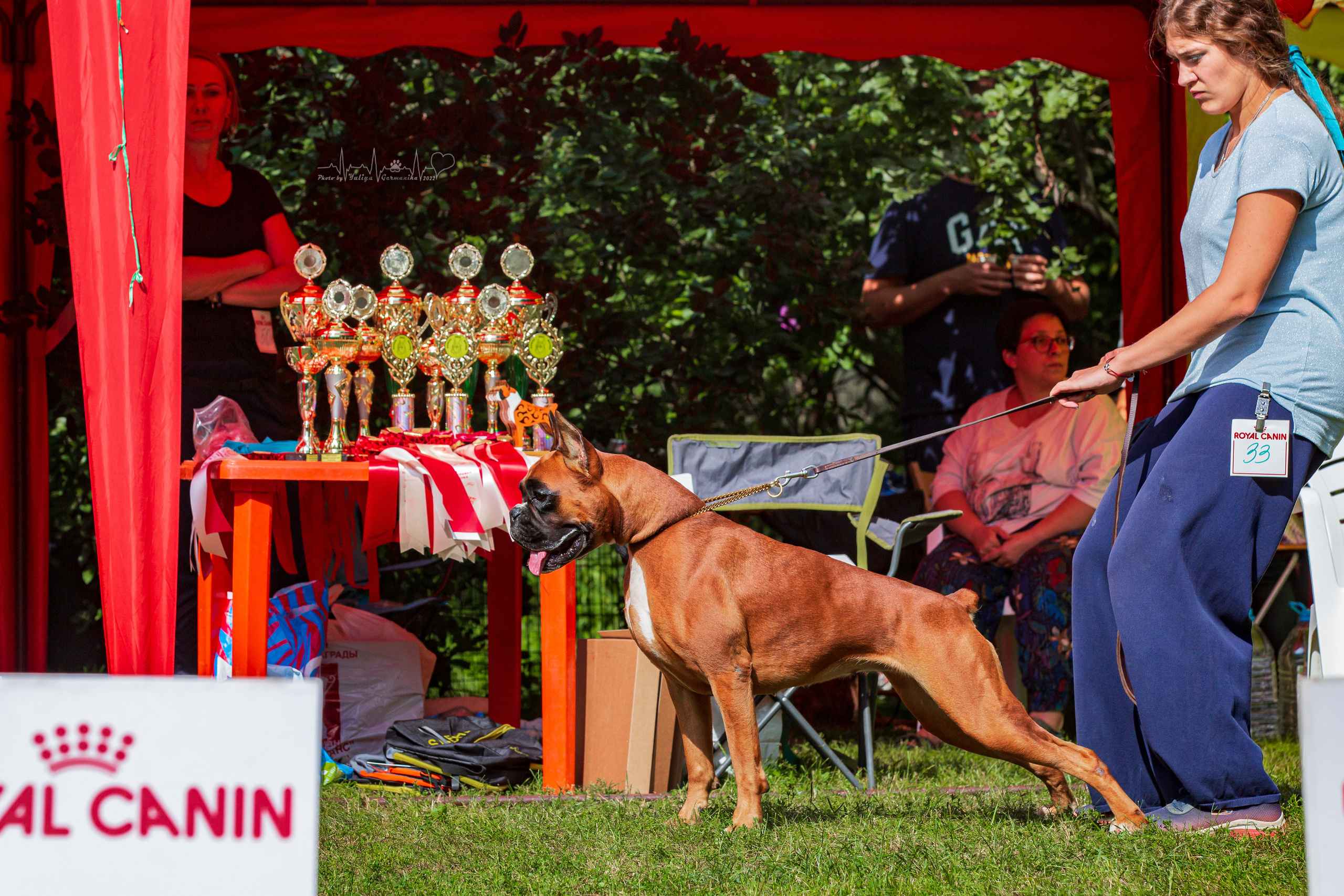 Сокольники 21.08,Сергиев Посад 27-28.08 2022. Фотограф-анималист Юлия Германика