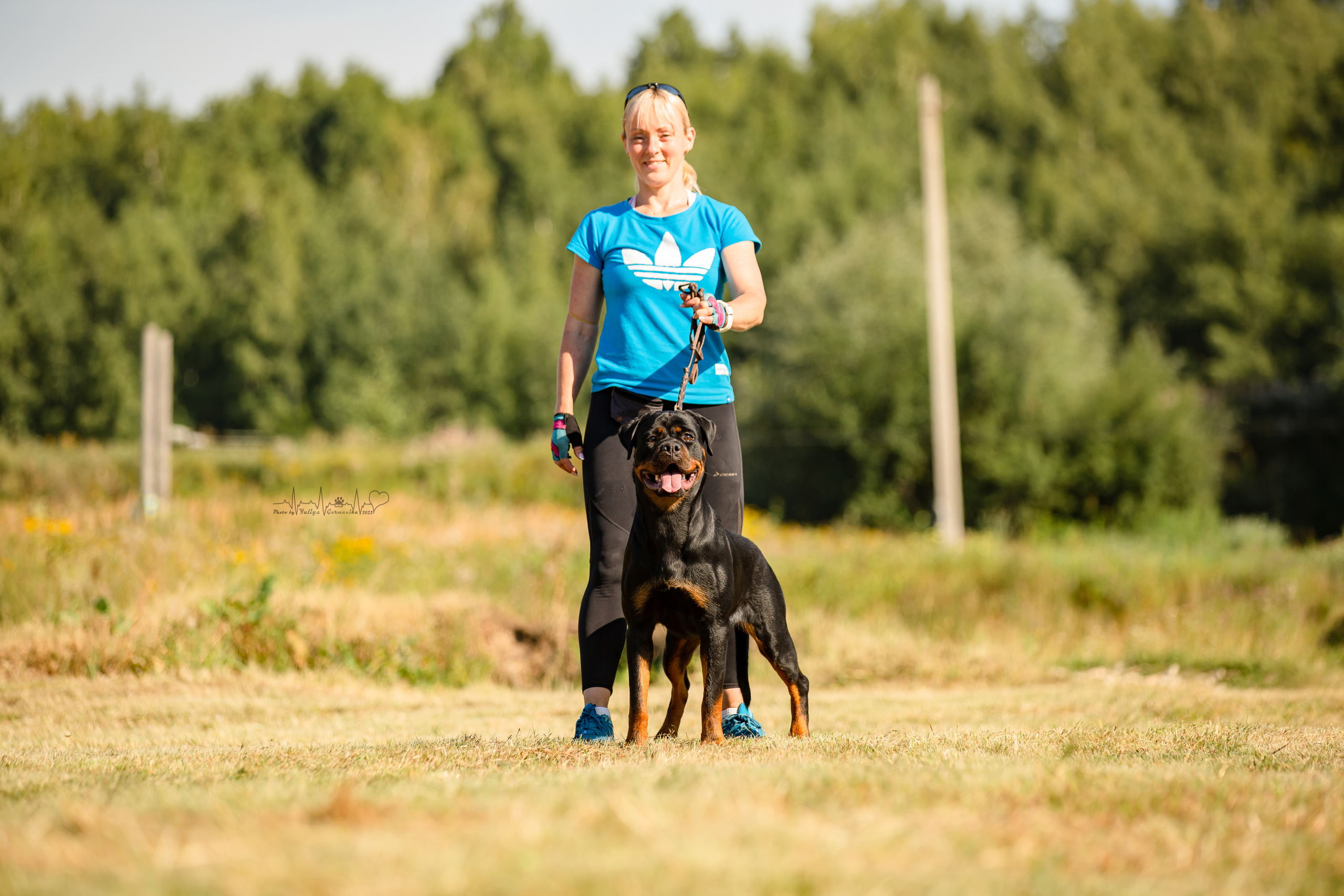 Рязань моно ротвейлеров 13.08.2022. Фотограф-анималист Юлия Германика