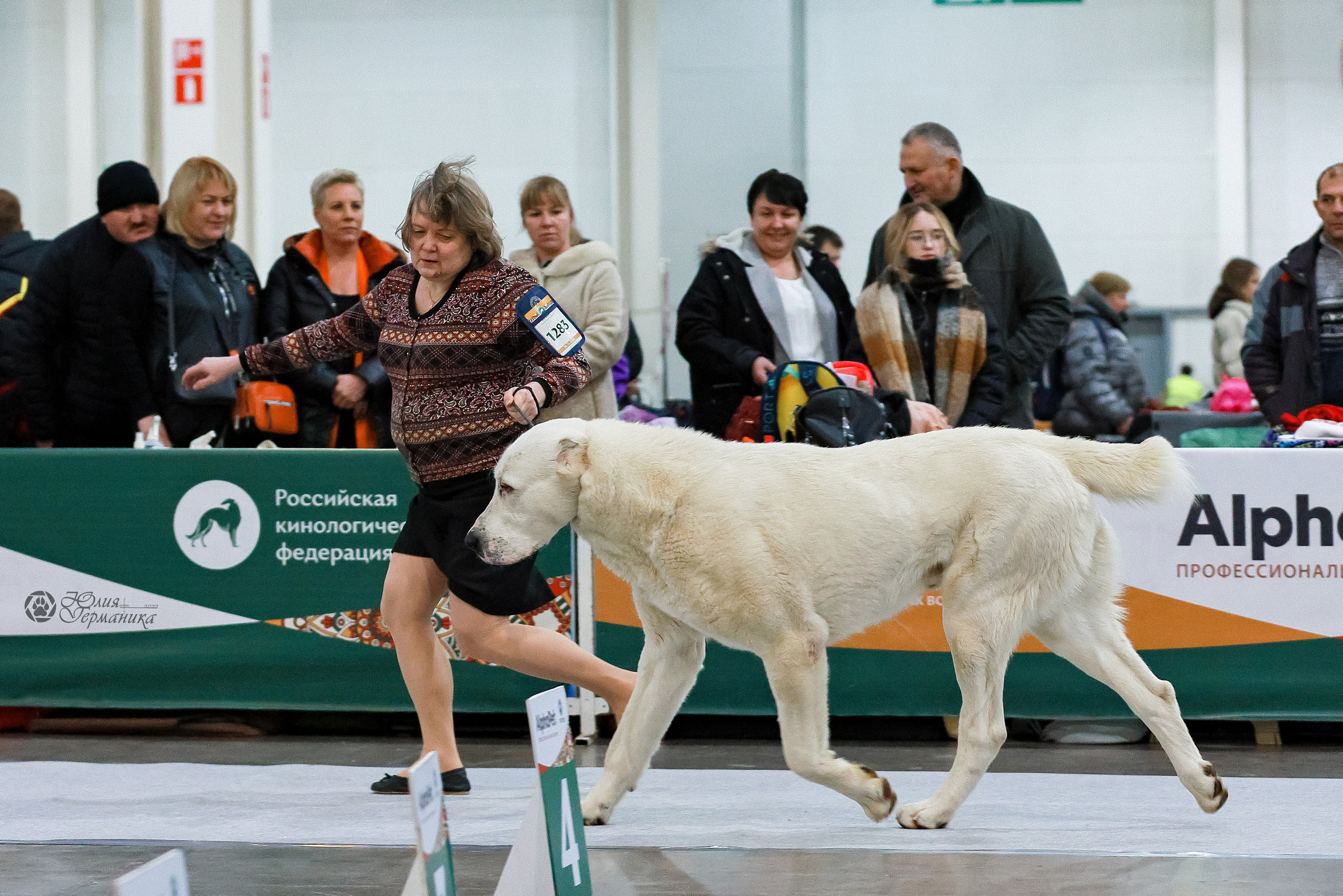 Россия 2020-2022 26-27.11.2022. Фотограф-анималист Юлия Германика