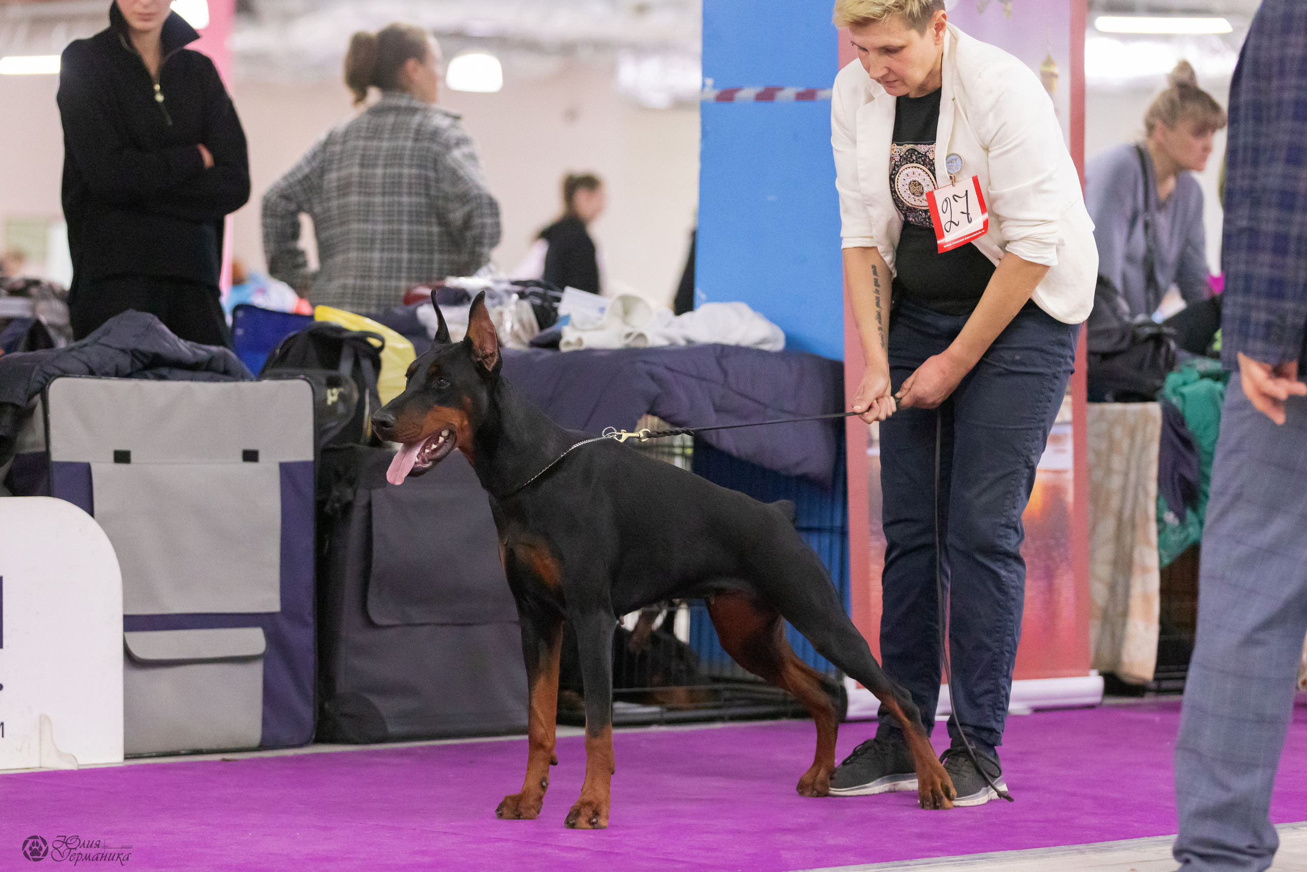 Чайна-Таун 3 и 12.11.2022. Фотограф-анималист Юлия Германика