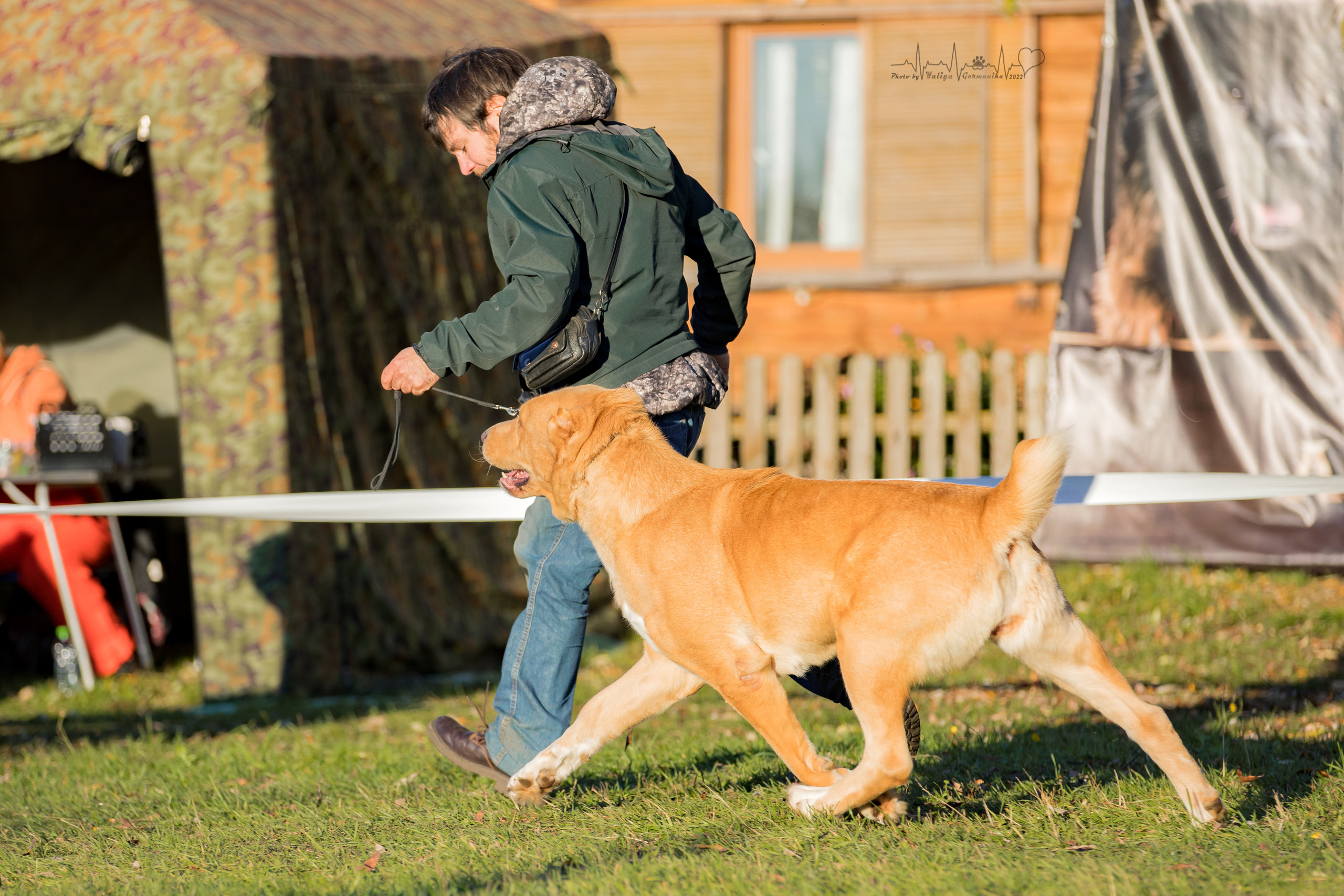 Александрова Слобода моно сао 2.10.2022. Фотограф-анималист Юлия Германика