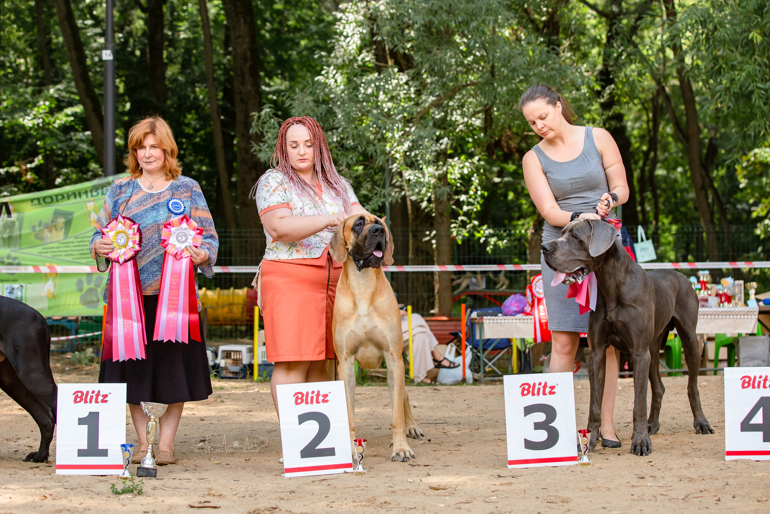 Ховрино фестиваль монопородок 14.08.2022. Фотограф-анималист Юлия Германика