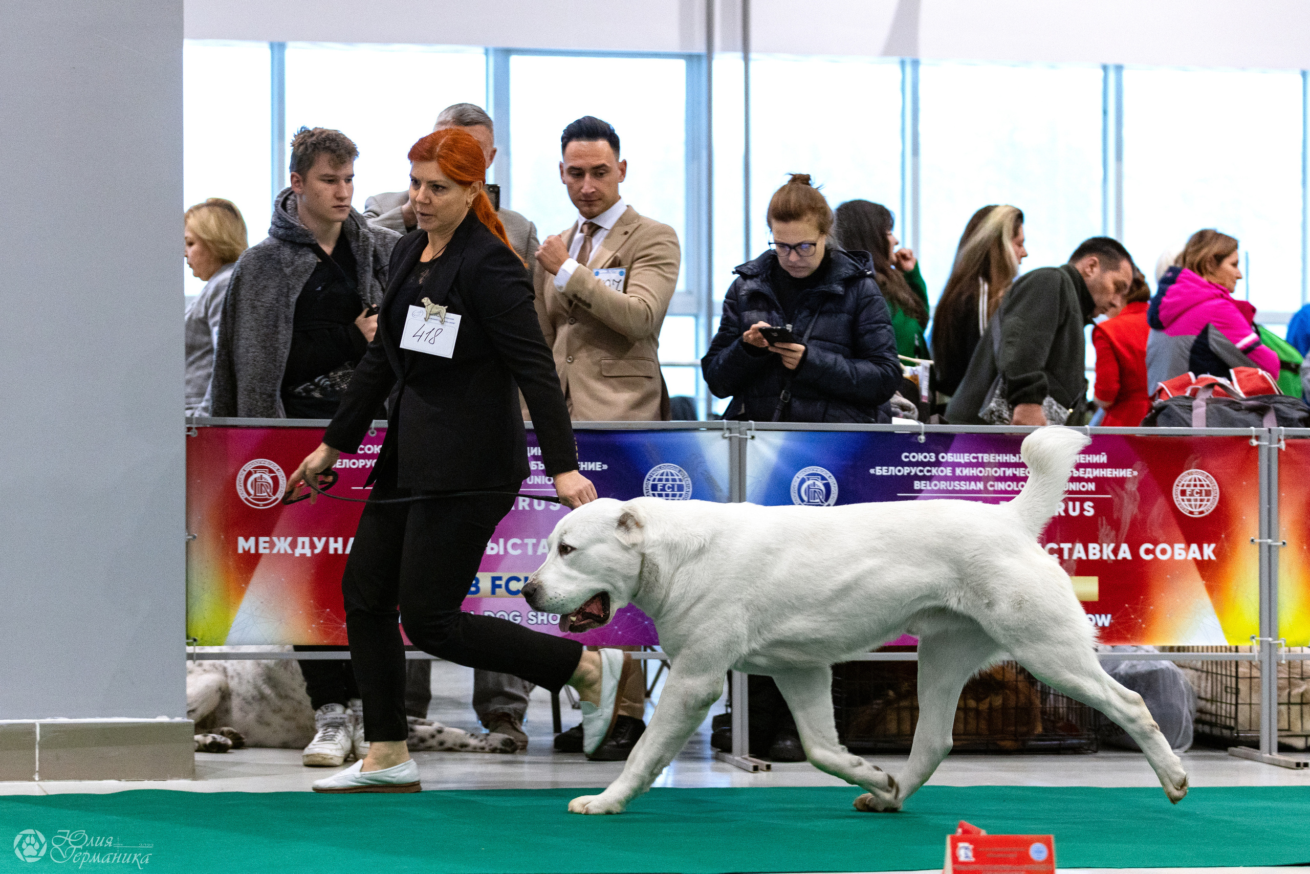 Минск 19-20.11.2022. Фотограф-анималист Юлия Германика
