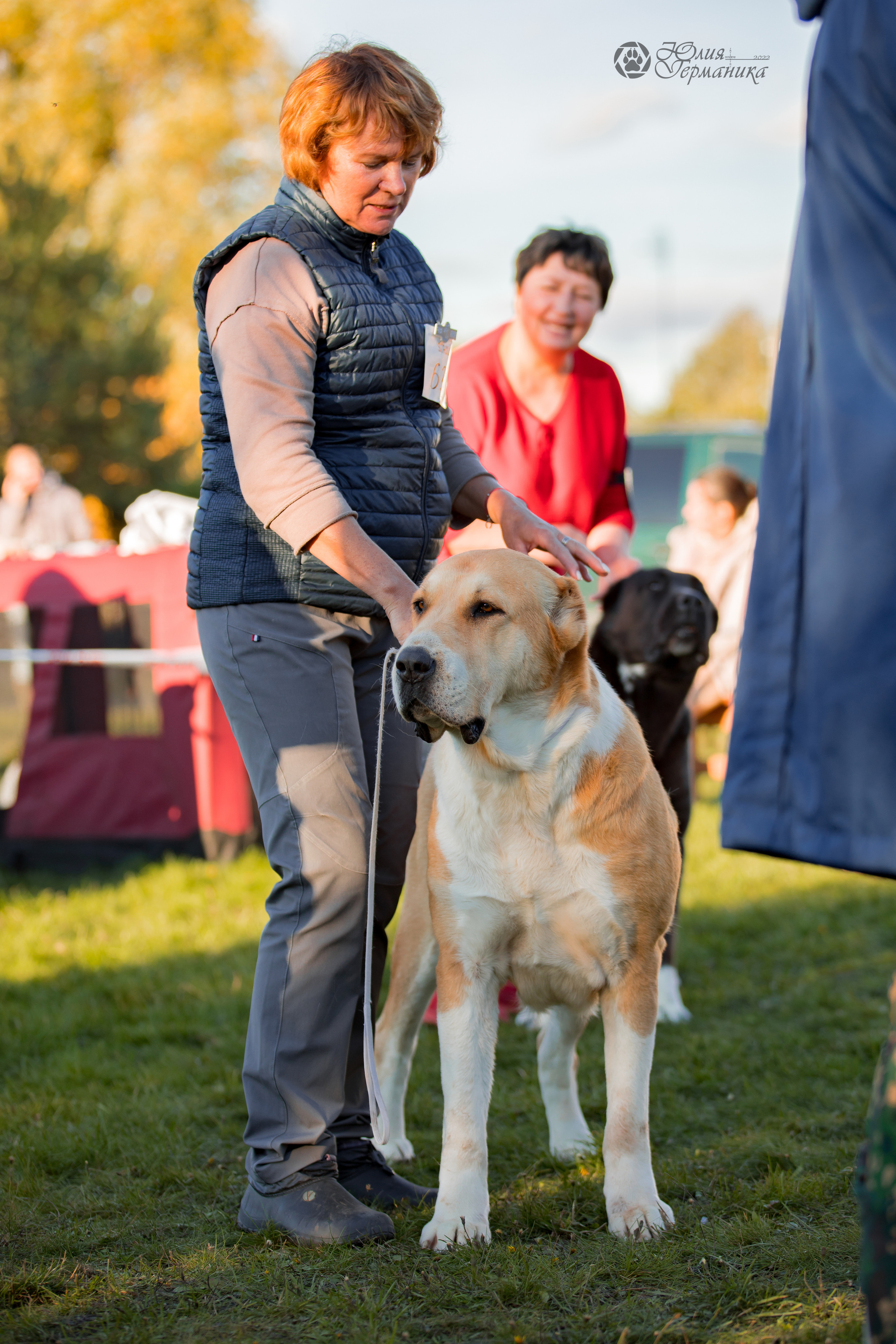 Александрова Слобода моно сао 2.10.2022. Фотограф-анималист Юлия Германика