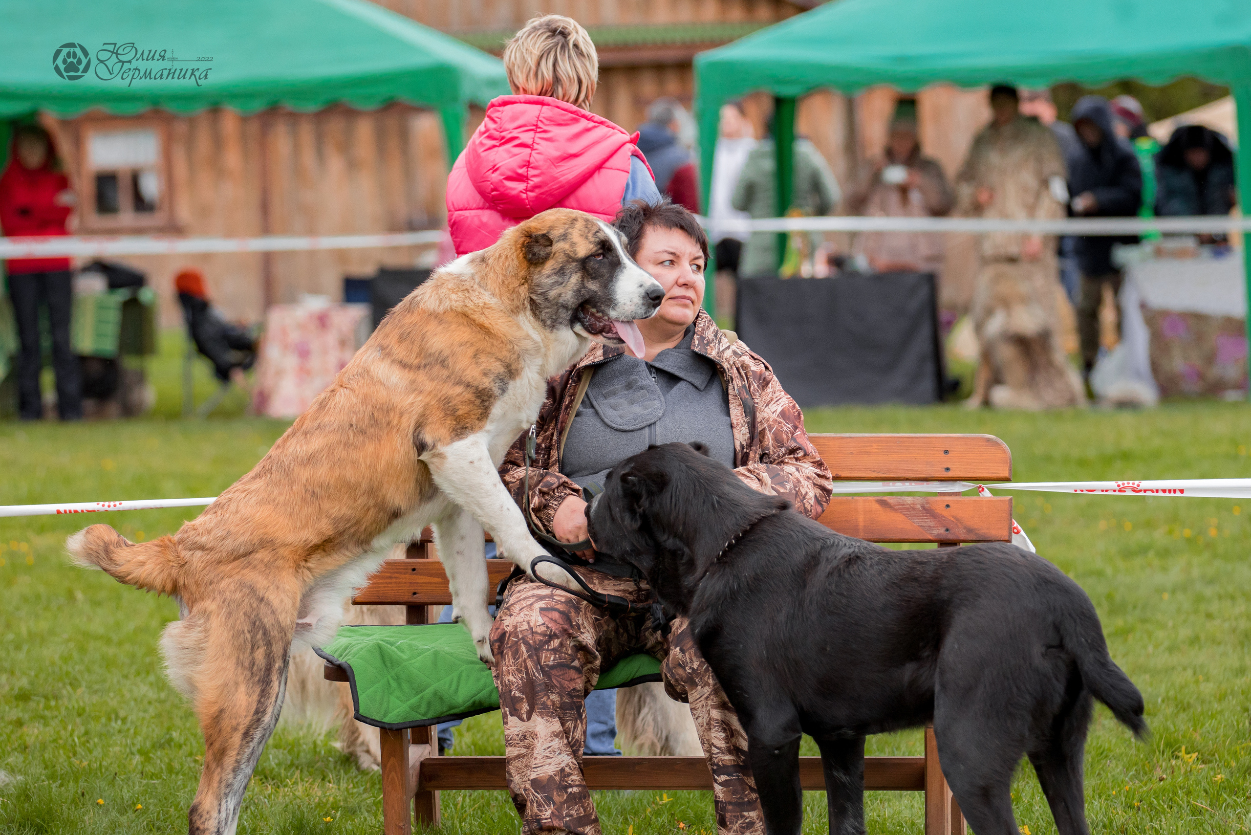Александрова Слобода моно сао 2.10.2022. Фотограф-анималист Юлия Германика
