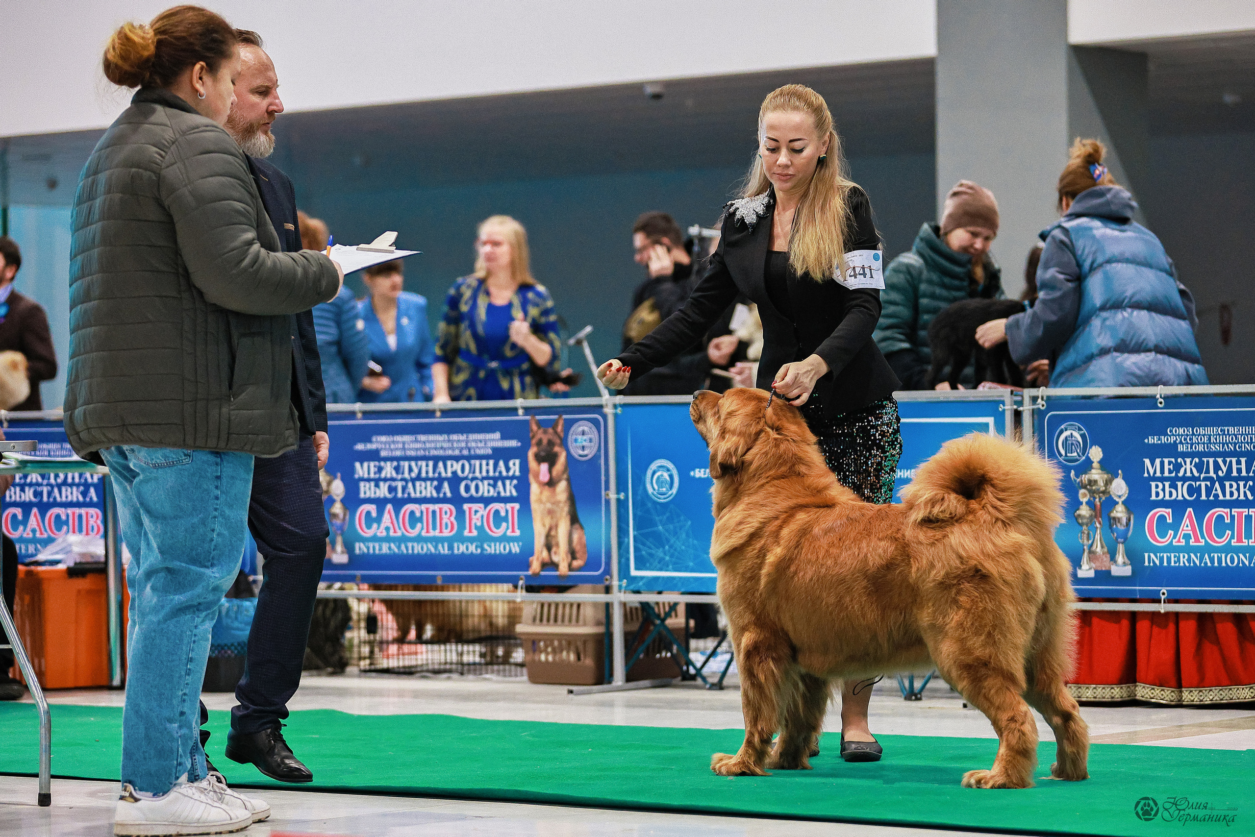 Минск 19-20.11.2022. Фотограф-анималист Юлия Германика