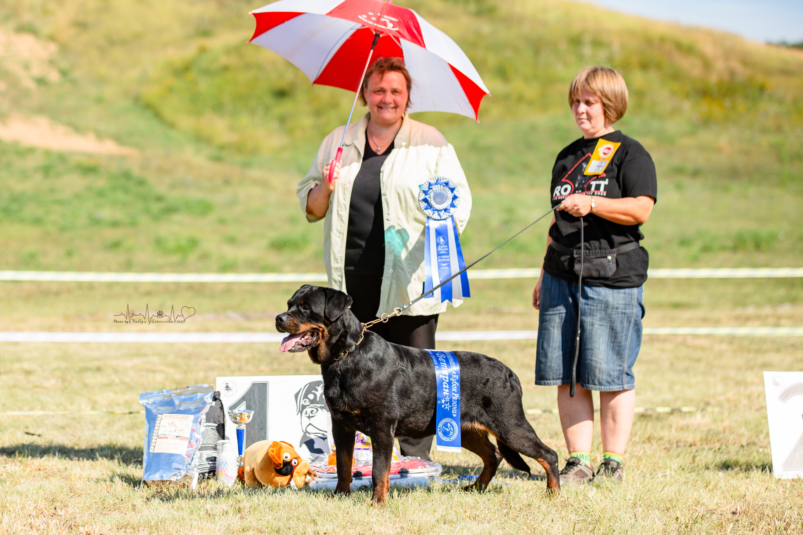 Рязань моно ротвейлеров 13.08.2022. Фотограф-анималист Юлия Германика