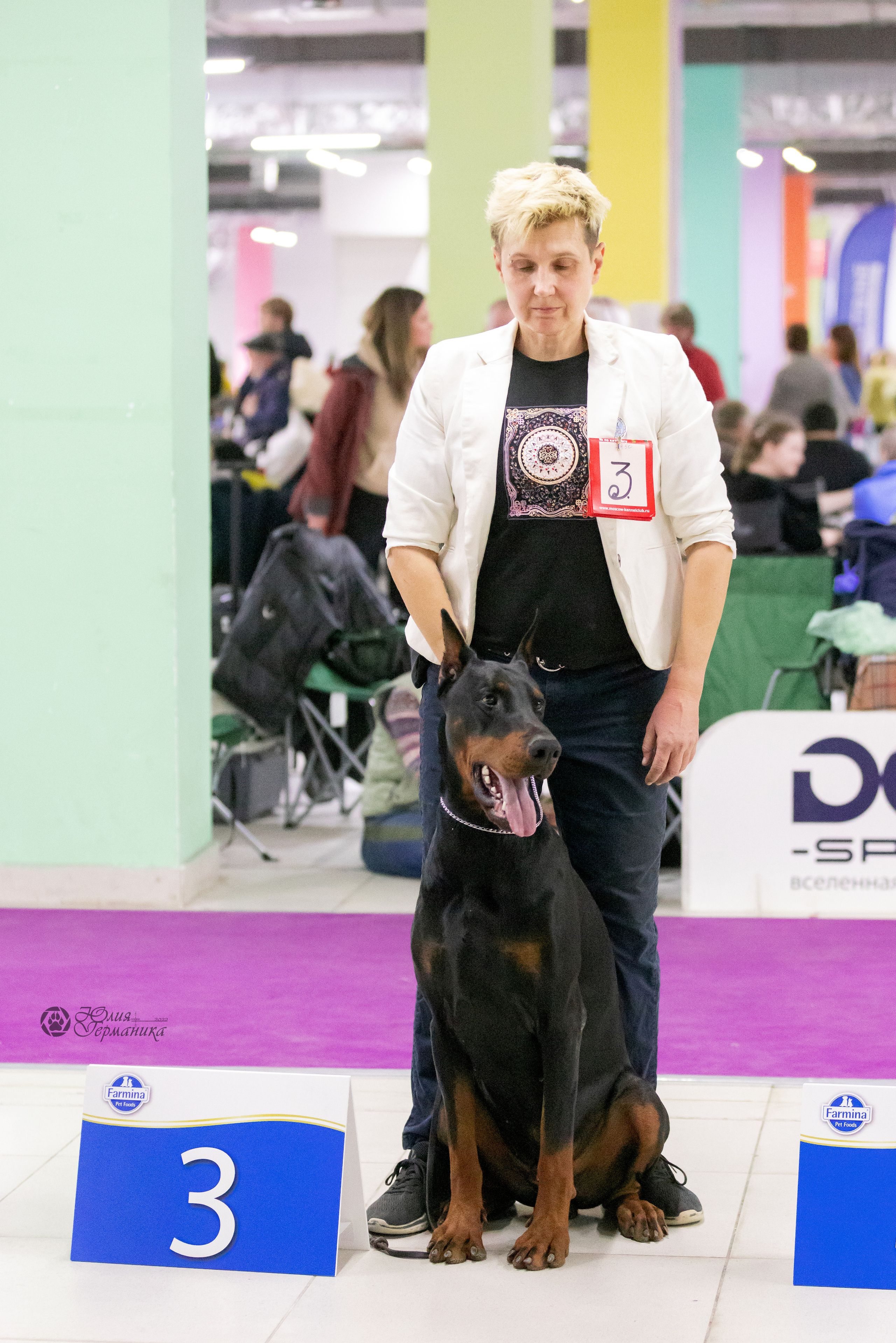 Чайна-Таун 3 и 12.11.2022. Фотограф-анималист Юлия Германика