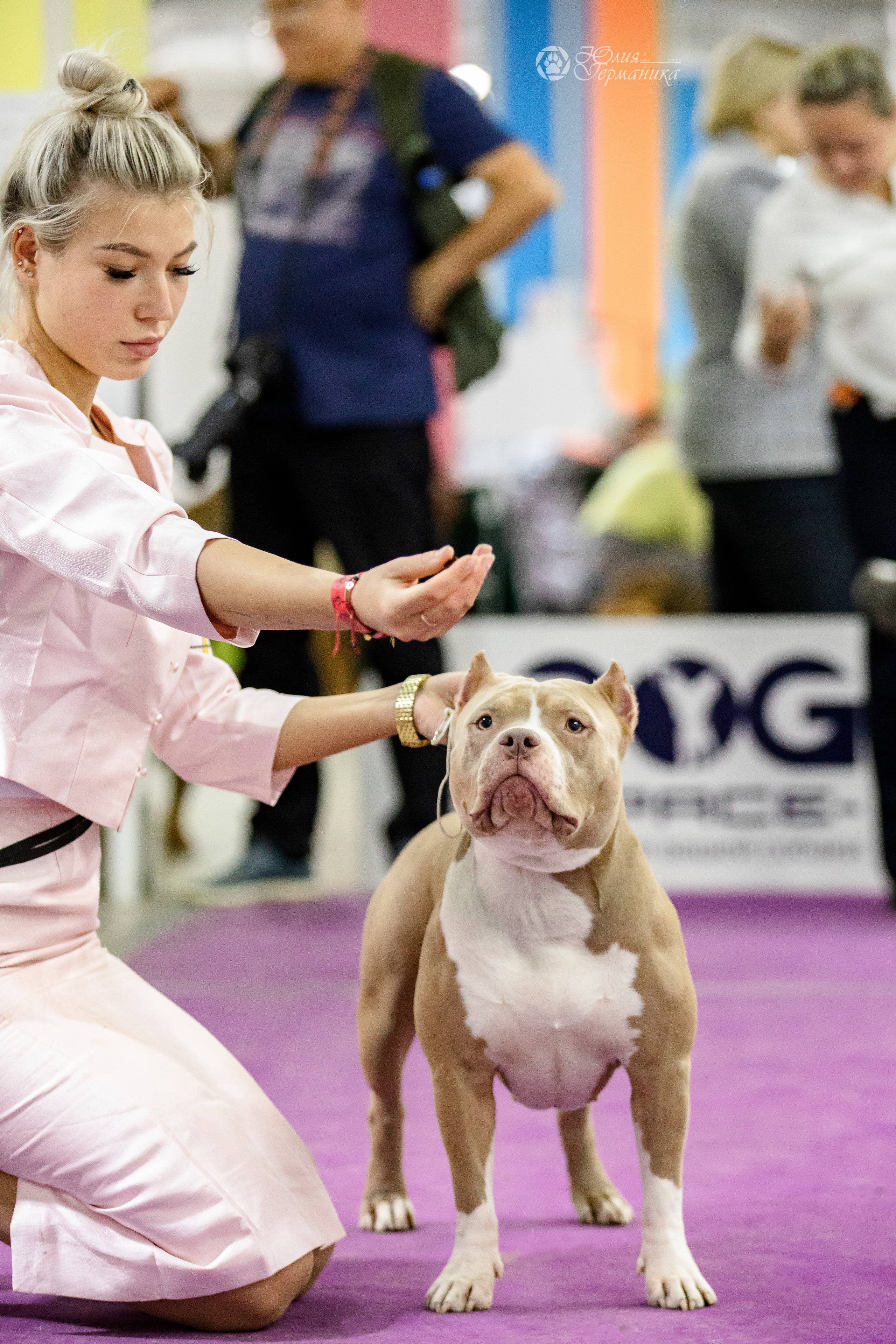 Чайна-Таун 29-30.10.2022. Фотограф-анималист Юлия Германика