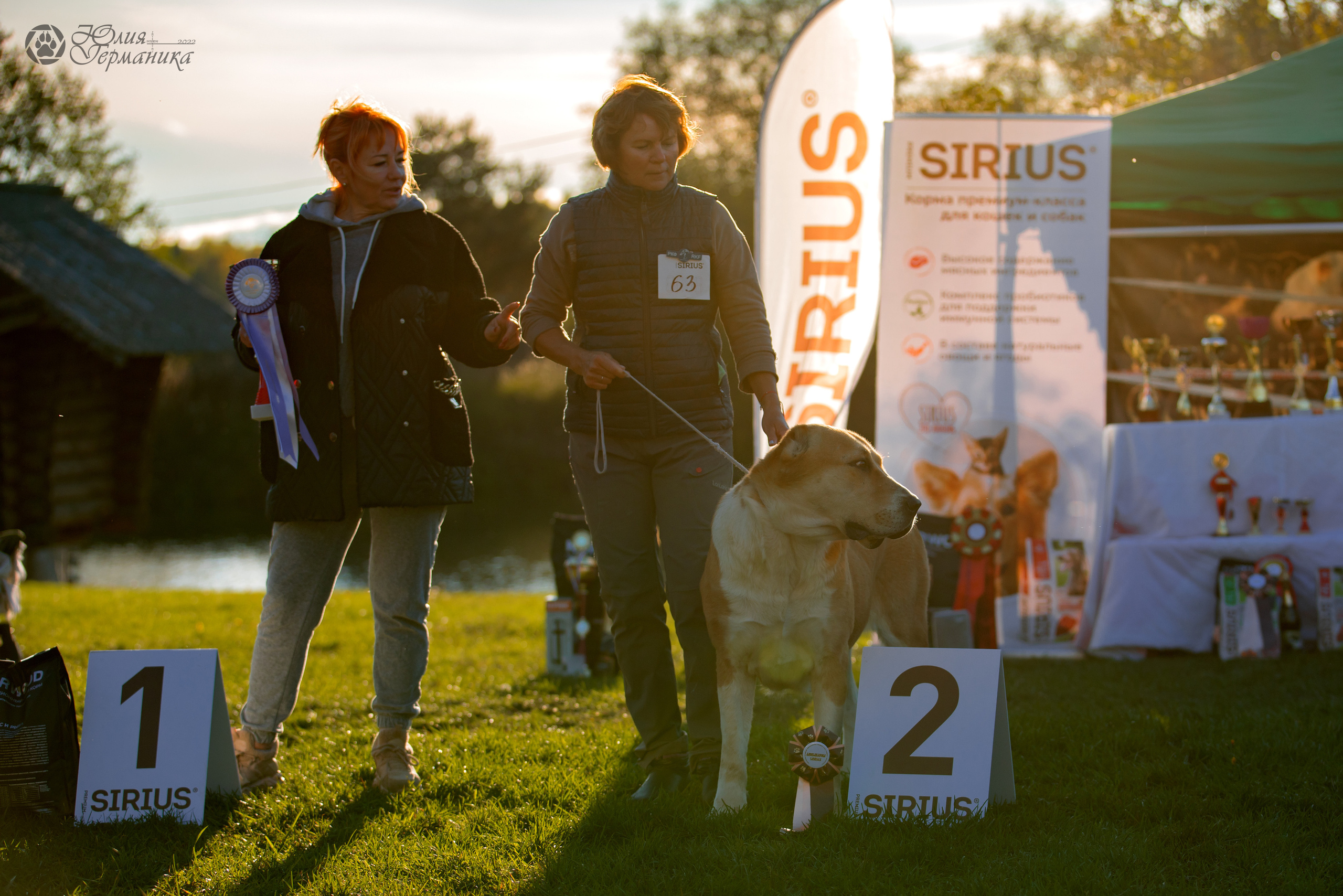 Александрова Слобода моно сао 2.10.2022. Фотограф-анималист Юлия Германика