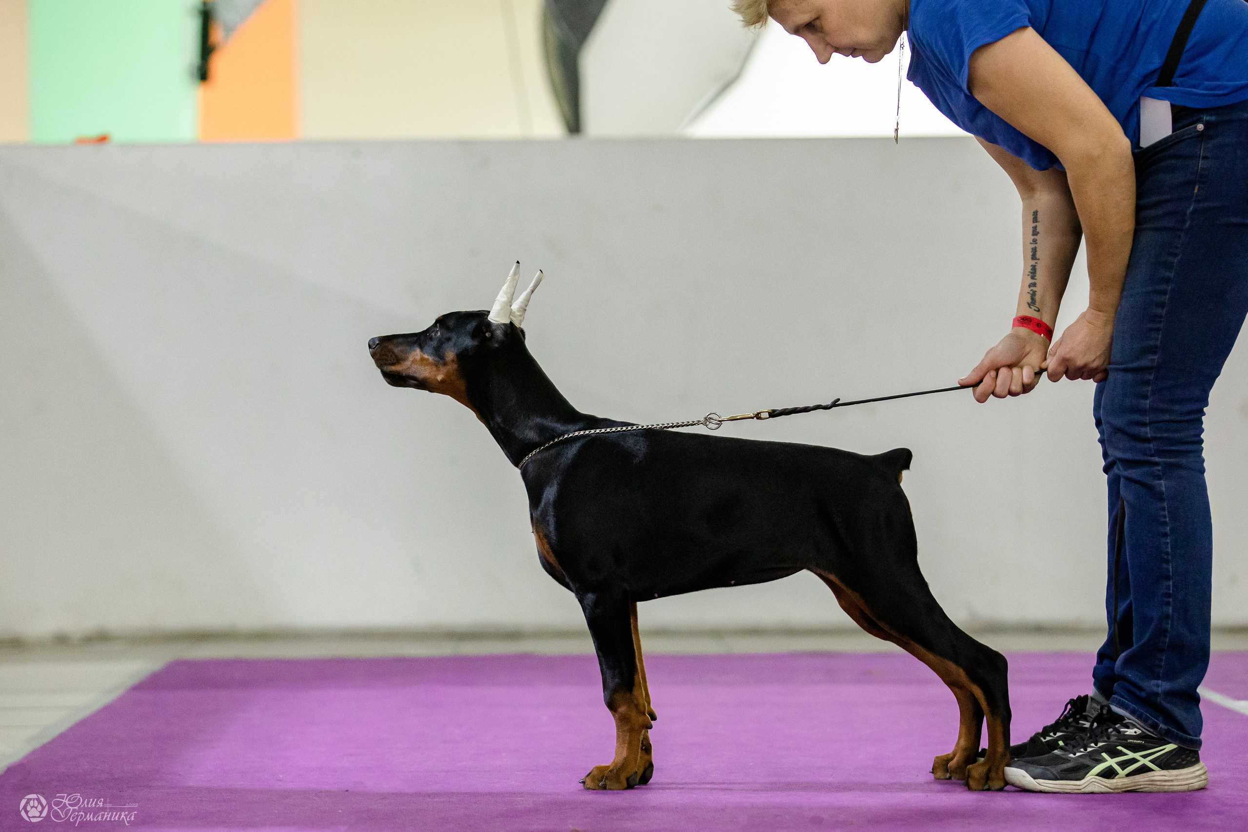 Чайна-Таун 29-30.10.2022. Фотограф-анималист Юлия Германика