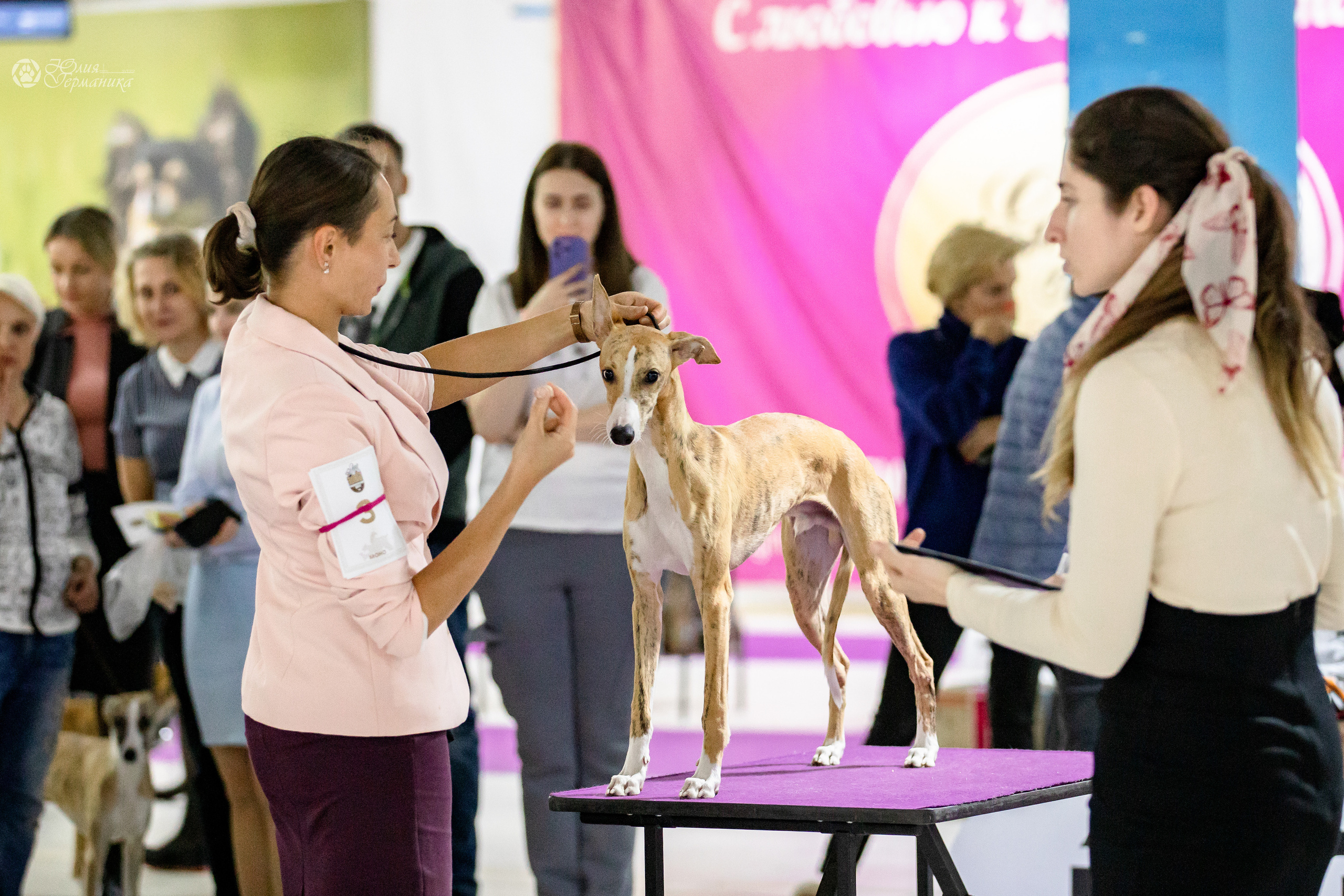 Чайна-Таун 29-30.10.2022. Фотограф-анималист Юлия Германика