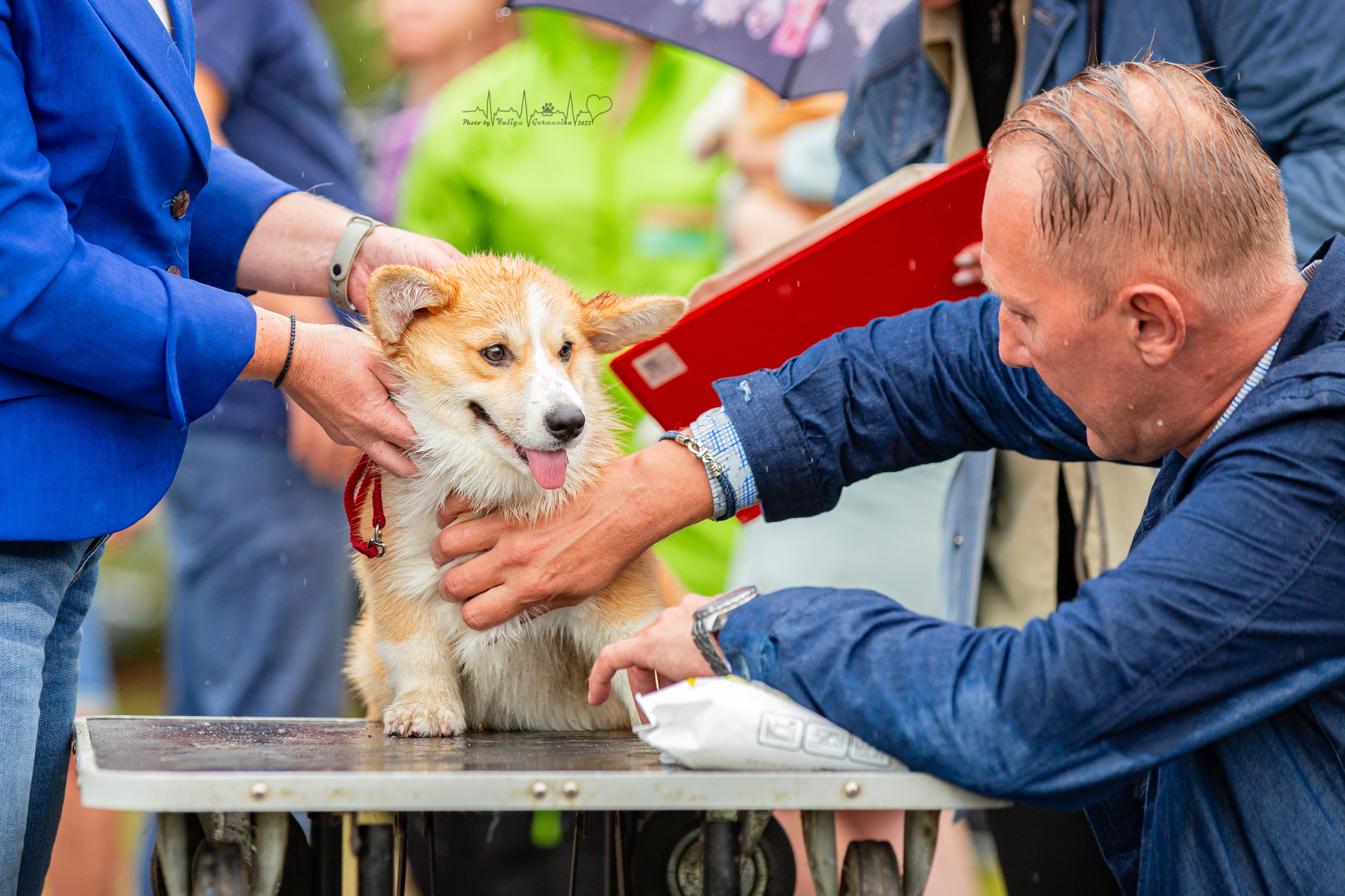 Ховрино 31.07,Чайна-Таун 6.08,Тверь 7.08. Фотограф-анималист Юлия Германика