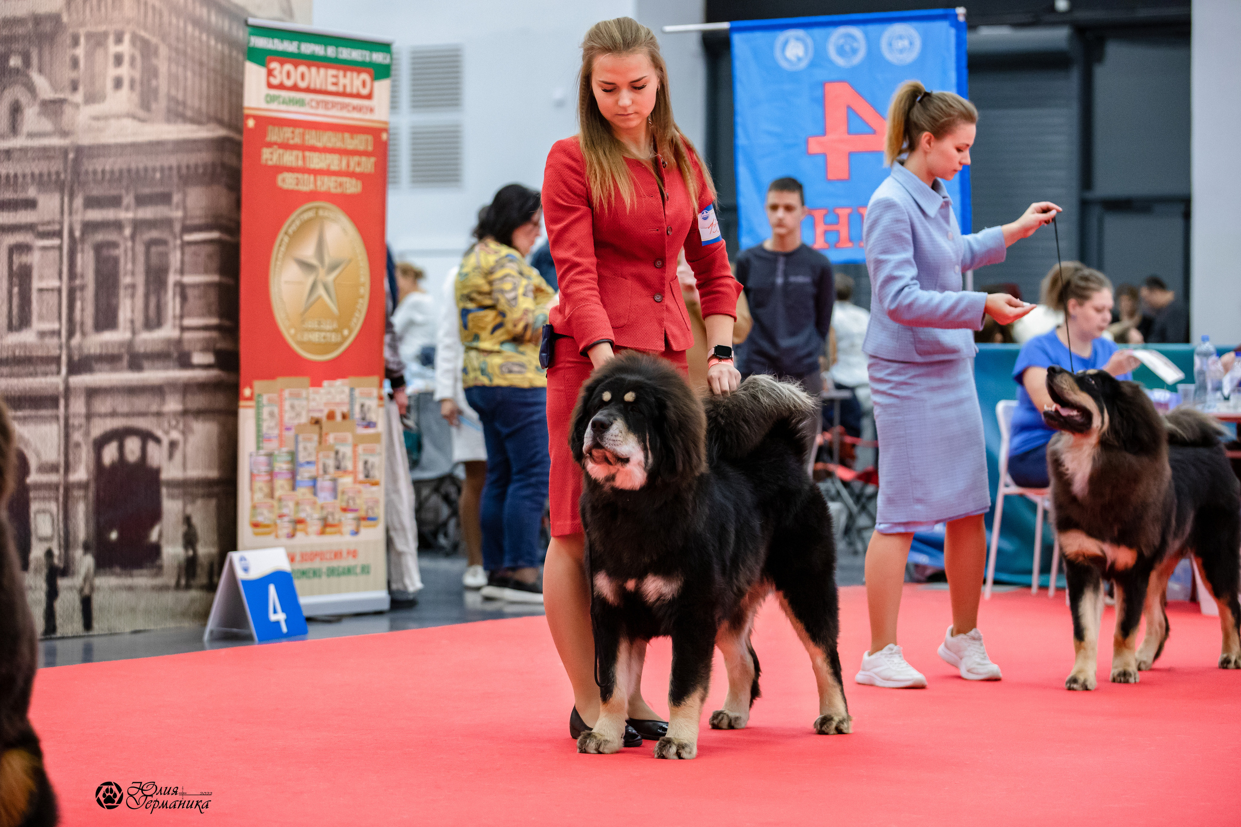 Нижний Новгород 15-16.10.2022. Фотограф-анималист Юлия Германика