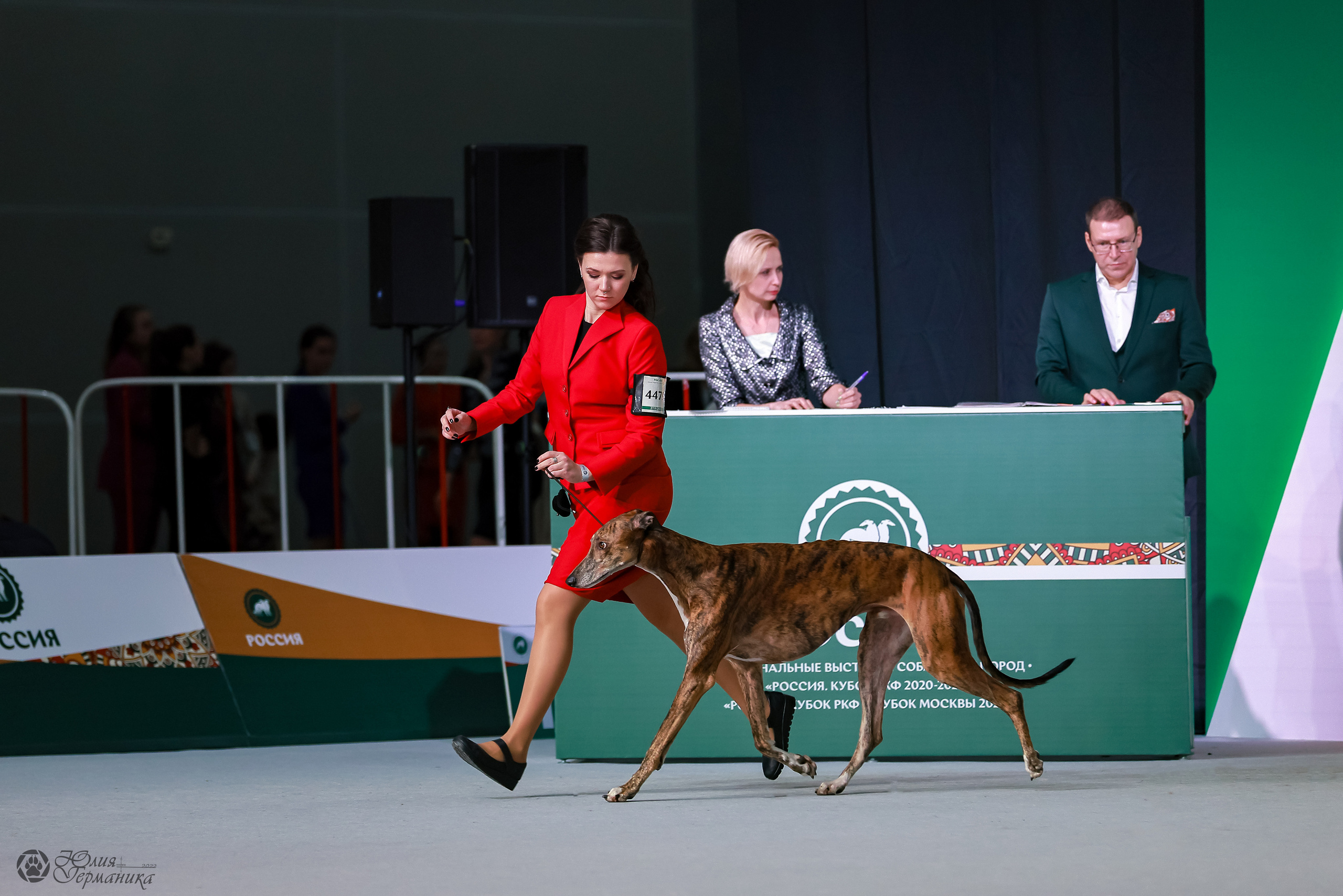 Россия 2020-2022 26-27.11.2022. Фотограф-анималист Юлия Германика