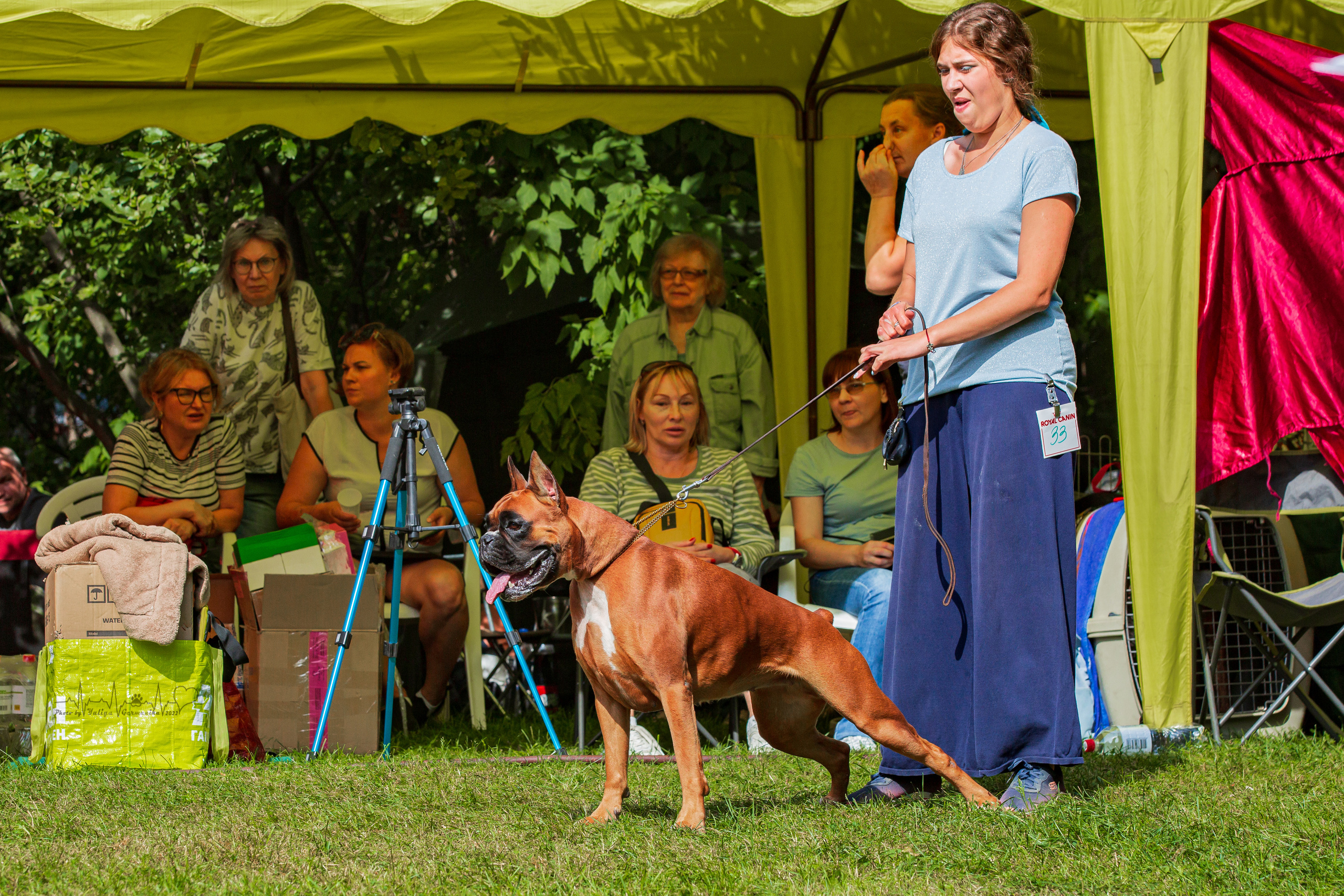 Сокольники 21.08,Сергиев Посад 27-28.08 2022. Фотограф-анималист Юлия Германика
