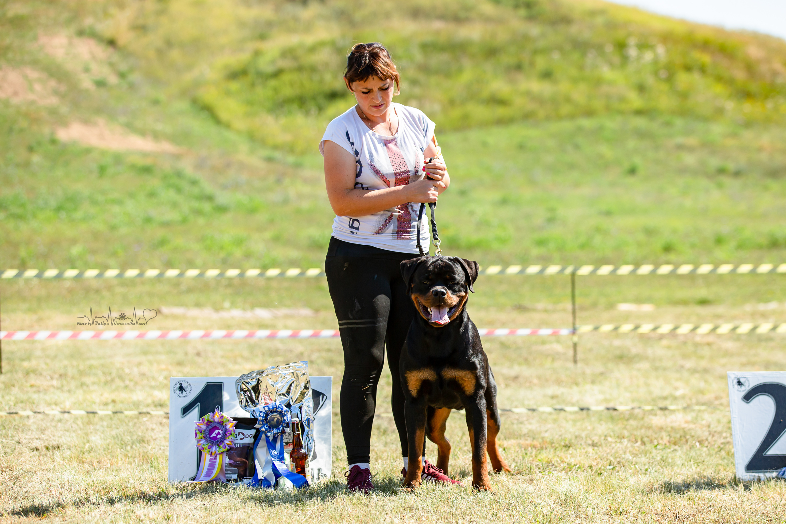 Рязань моно ротвейлеров 13.08.2022. Фотограф-анималист Юлия Германика