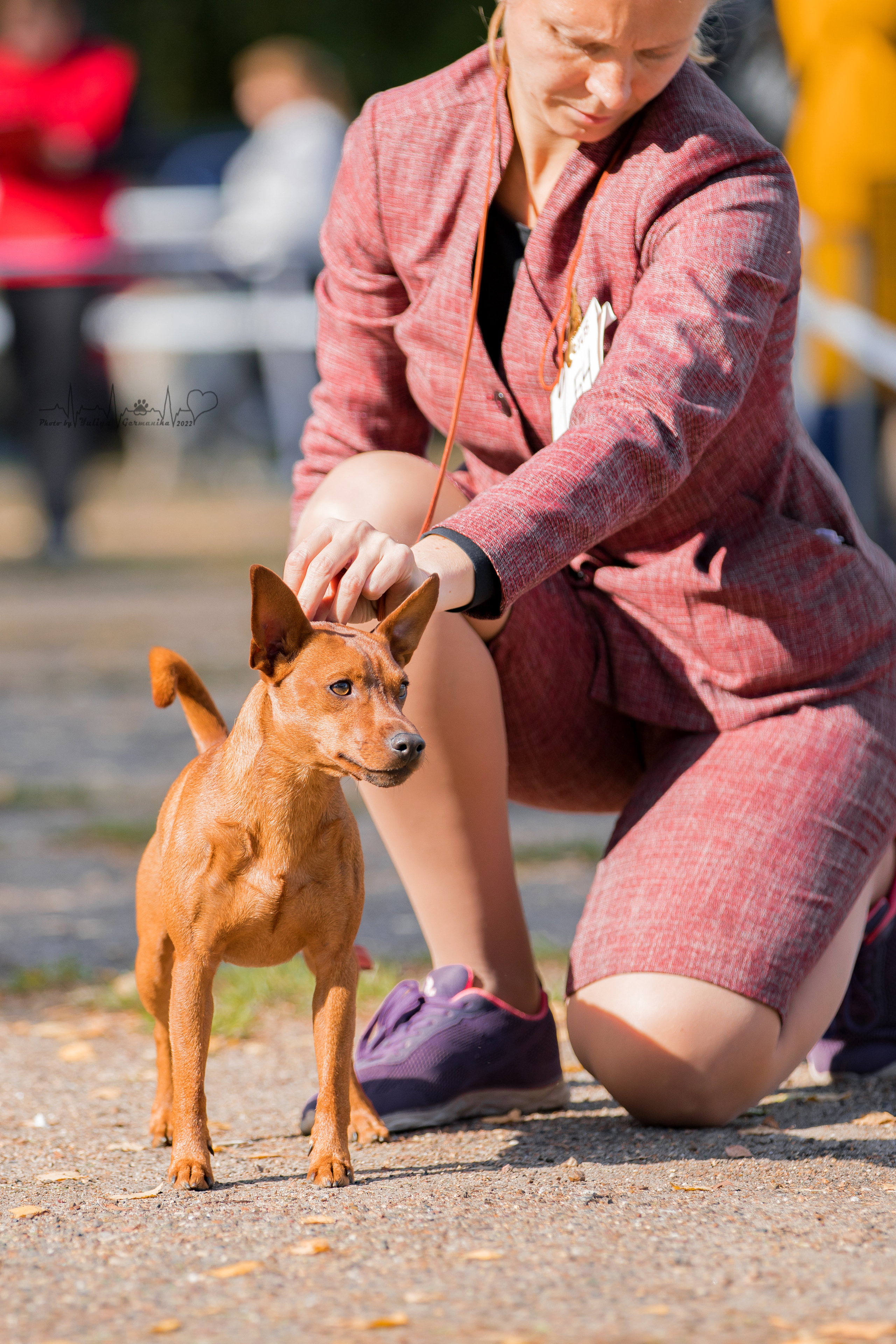 Тверь ЧРКФ 18.09.2022. Фотограф-анималист Юлия Германика