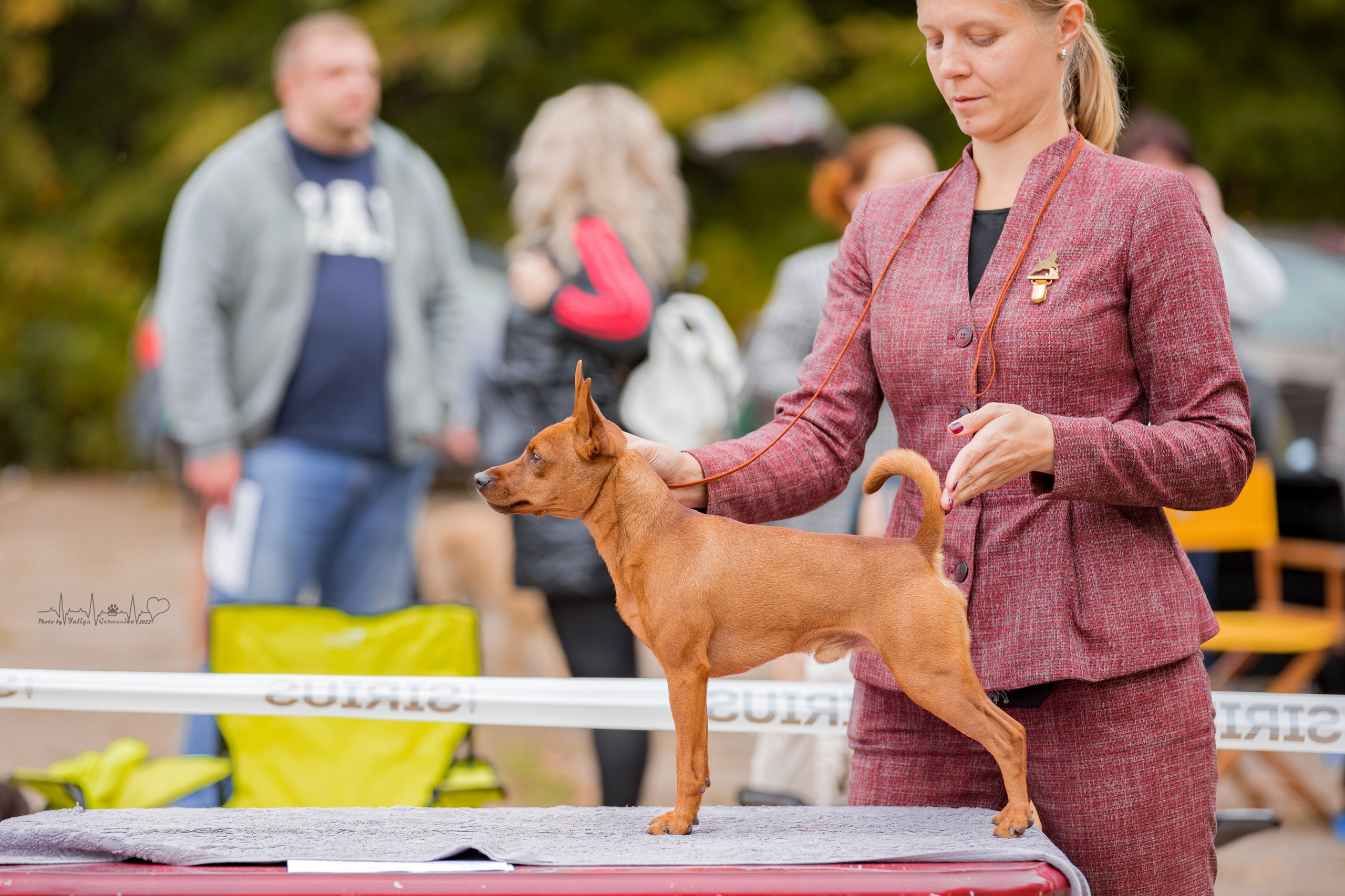 Тверь ЧРКФ 18.09.2022. Фотограф-анималист Юлия Германика