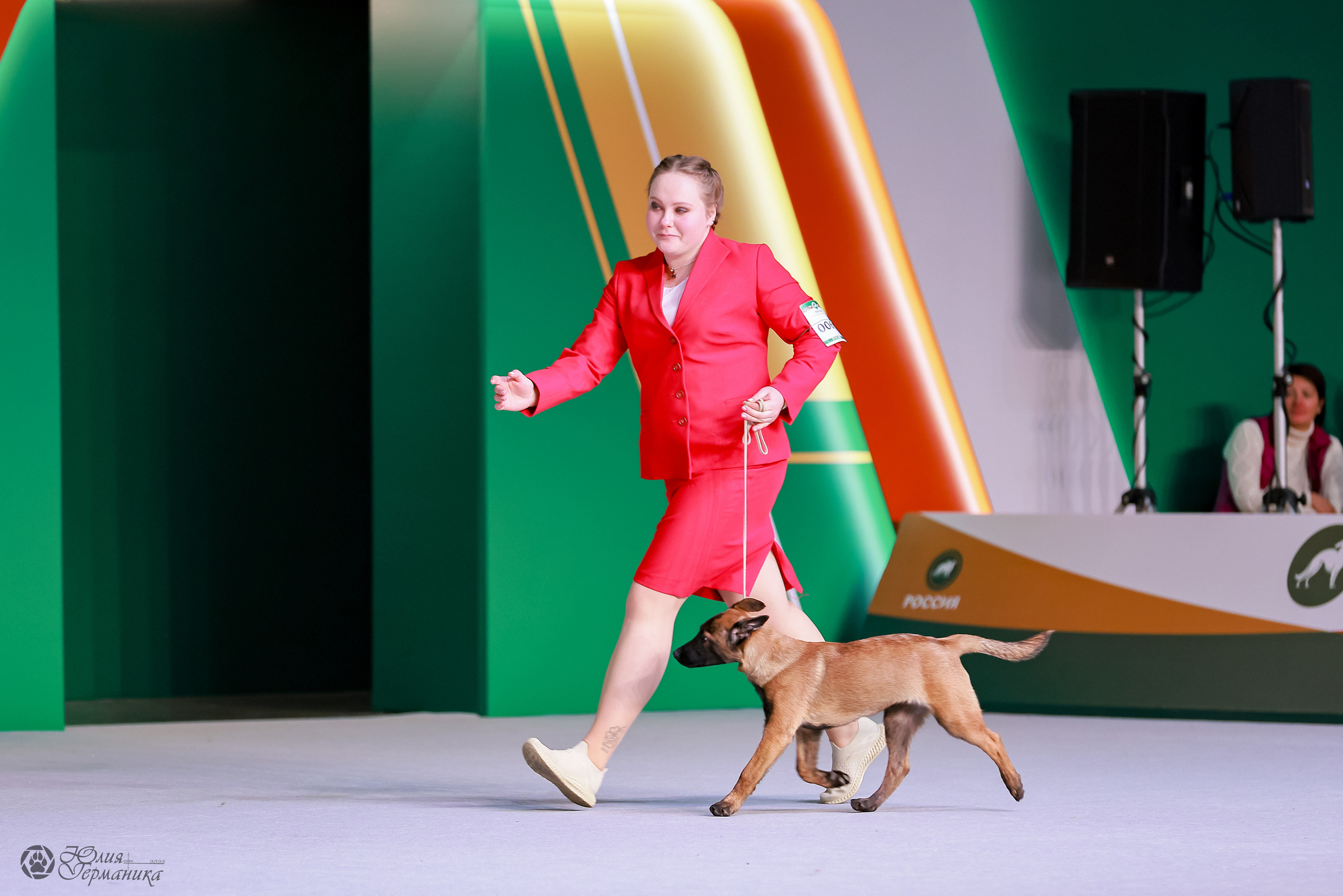 Россия 2020-2022 26-27.11.2022. Фотограф-анималист Юлия Германика