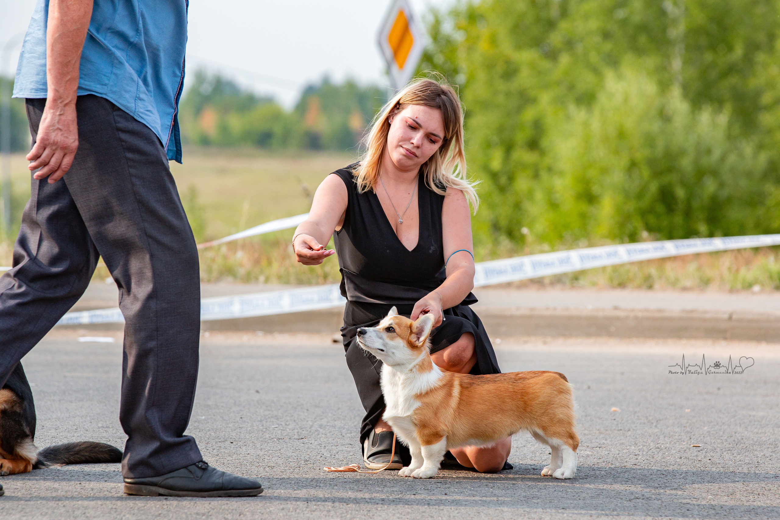 Сокольники 21.08,Сергиев Посад 27-28.08 2022. Фотограф-анималист Юлия Германика