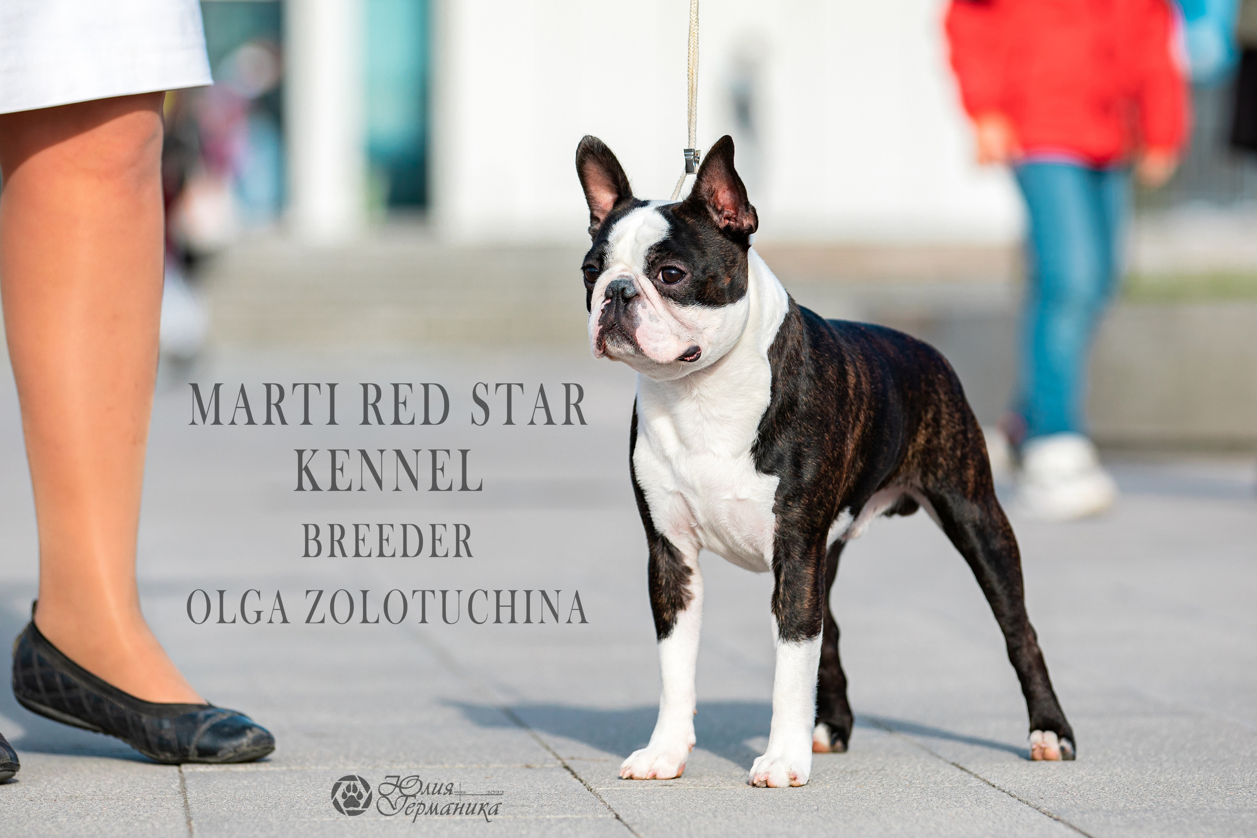 Нижний Новгород 15-16.10.2022. Фотограф-анималист Юлия Германика