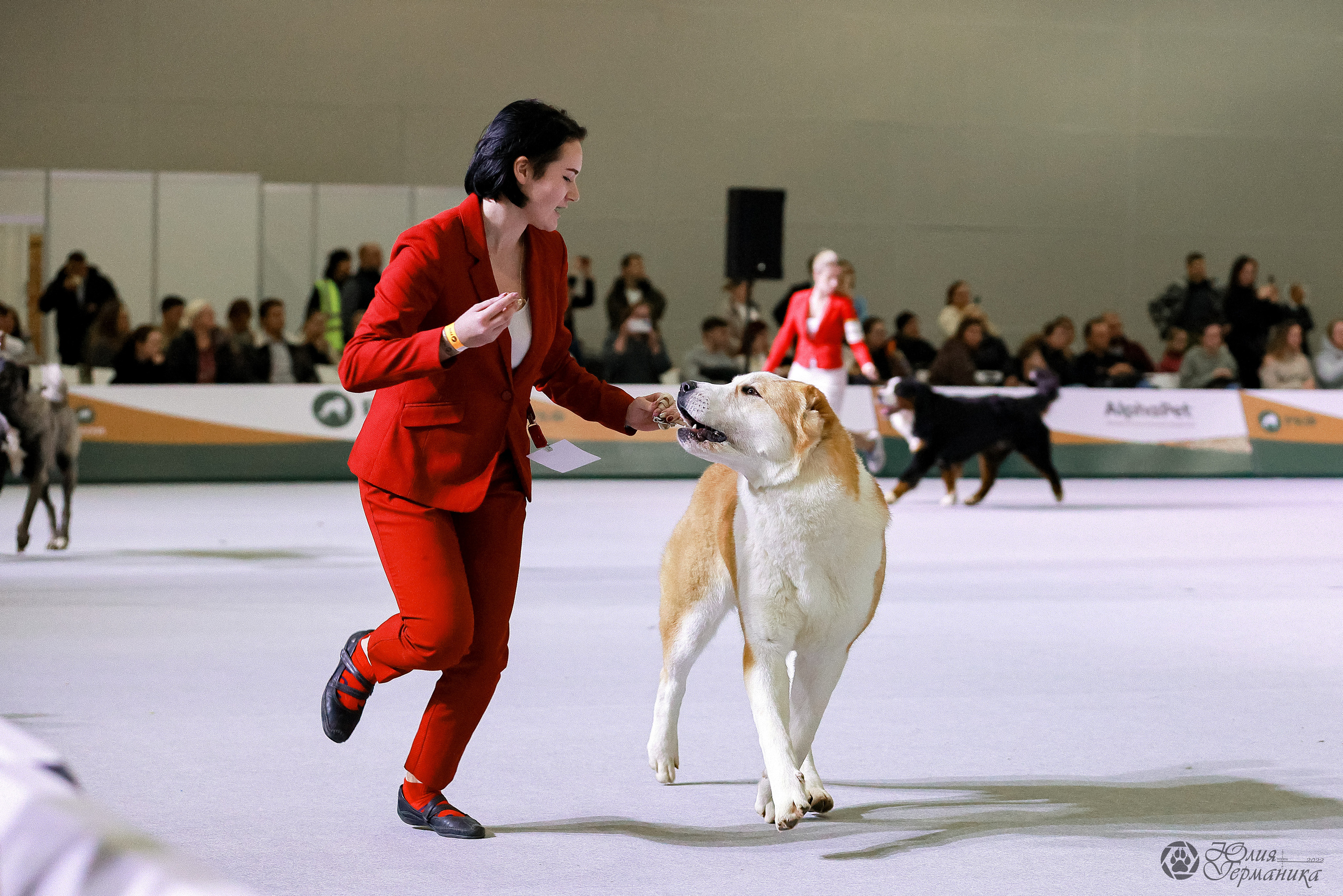 Россия 2020-2022 26-27.11.2022. Фотограф-анималист Юлия Германика