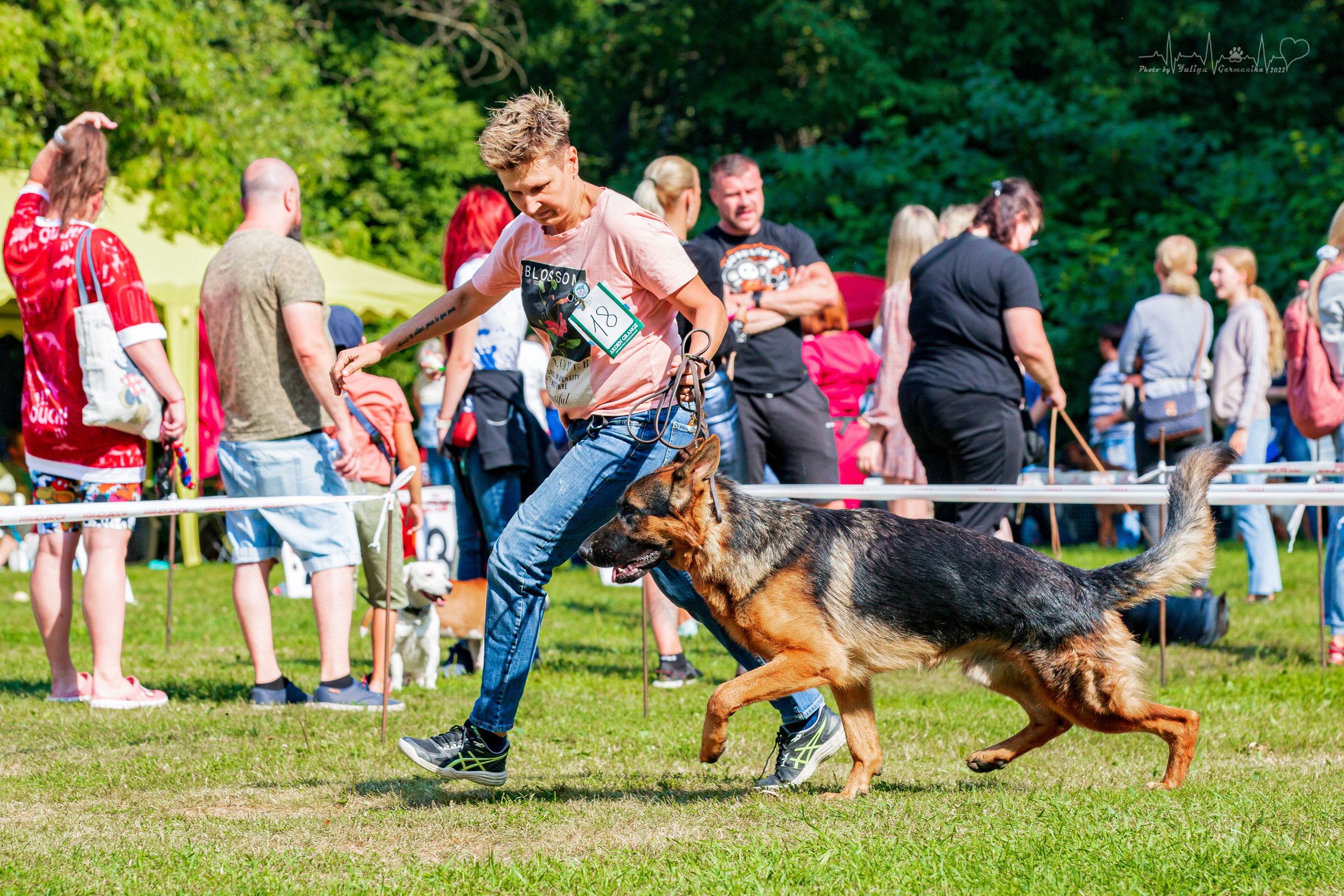 Сокольники 21.08,Сергиев Посад 27-28.08 2022. Фотограф-анималист Юлия Германика