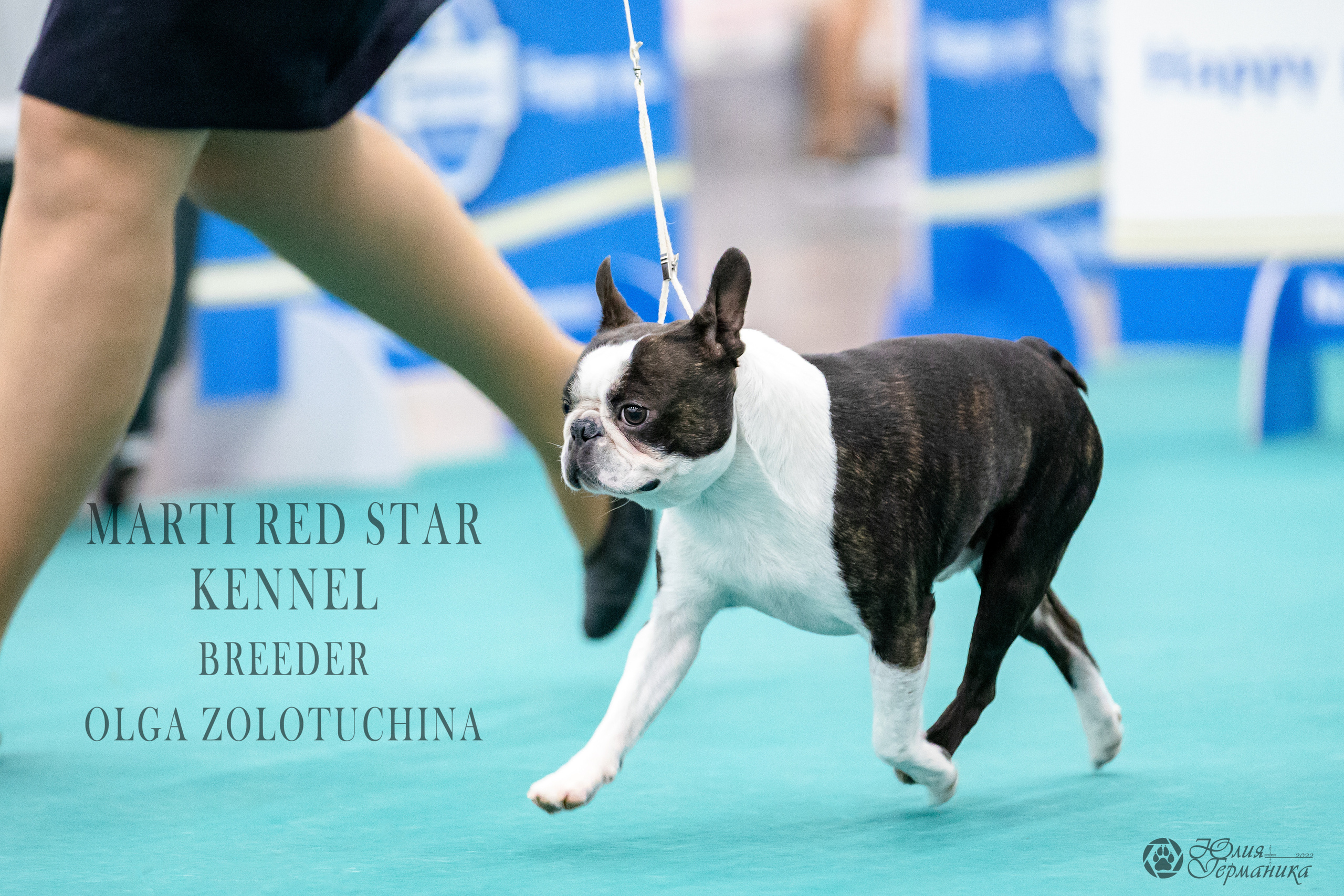 Нижний Новгород 15-16.10.2022. Фотограф-анималист Юлия Германика