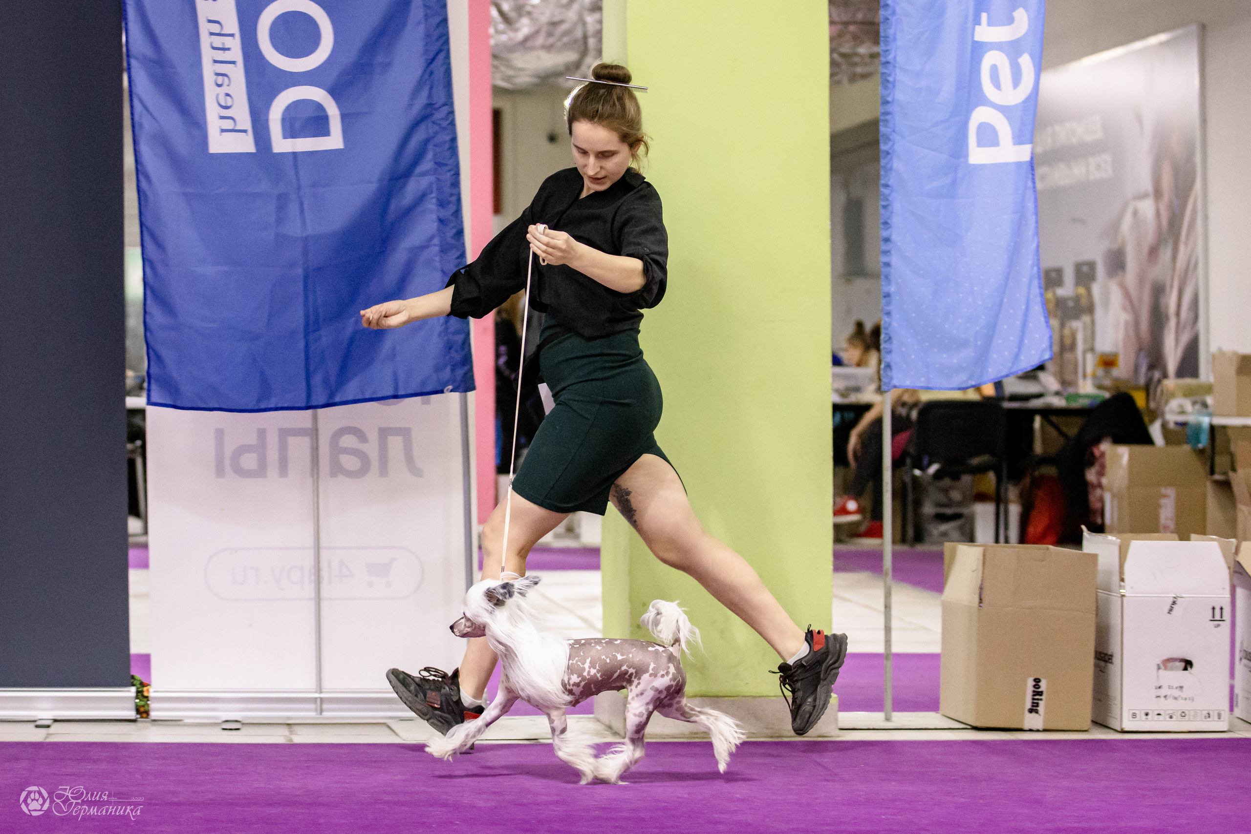 Чайна-Таун 3 и 12.11.2022. Фотограф-анималист Юлия Германика