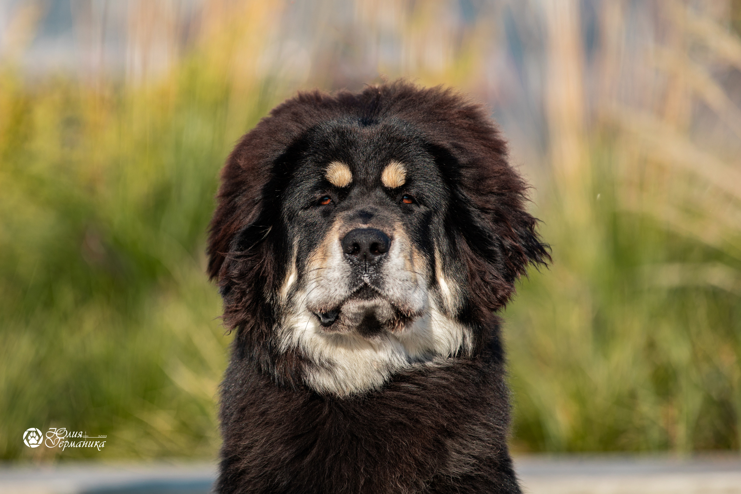 Нижний Новгород 15-16.10.2022