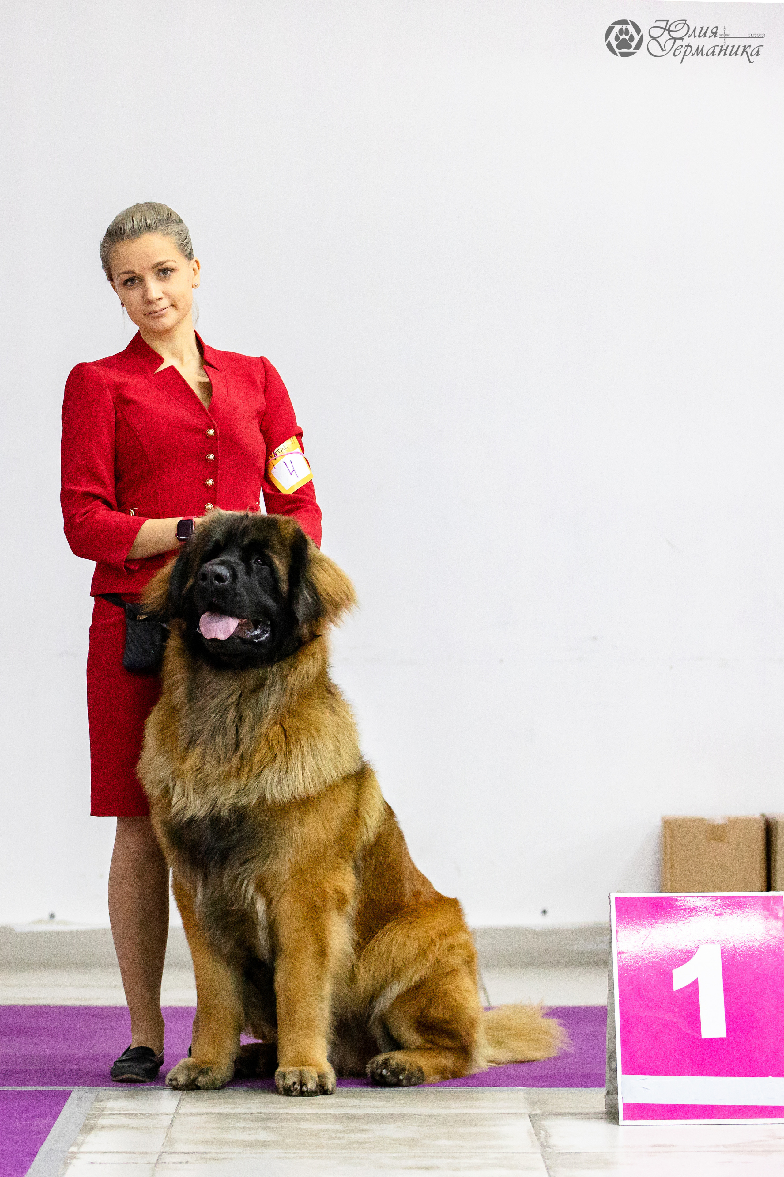 Чайна-Таун 29-30.10.2022. Фотограф-анималист Юлия Германика