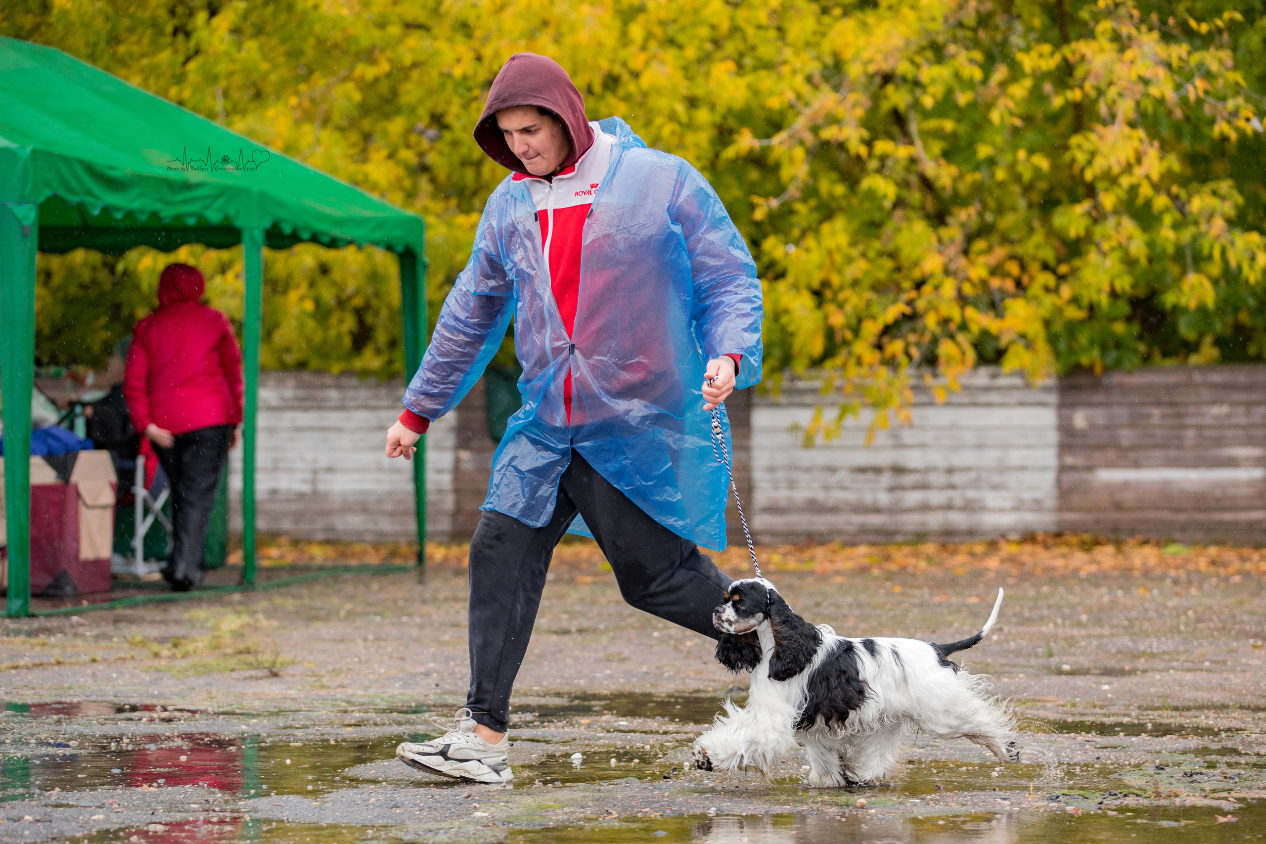 Александров 24.09.2022. Фотограф-анималист Юлия Германика