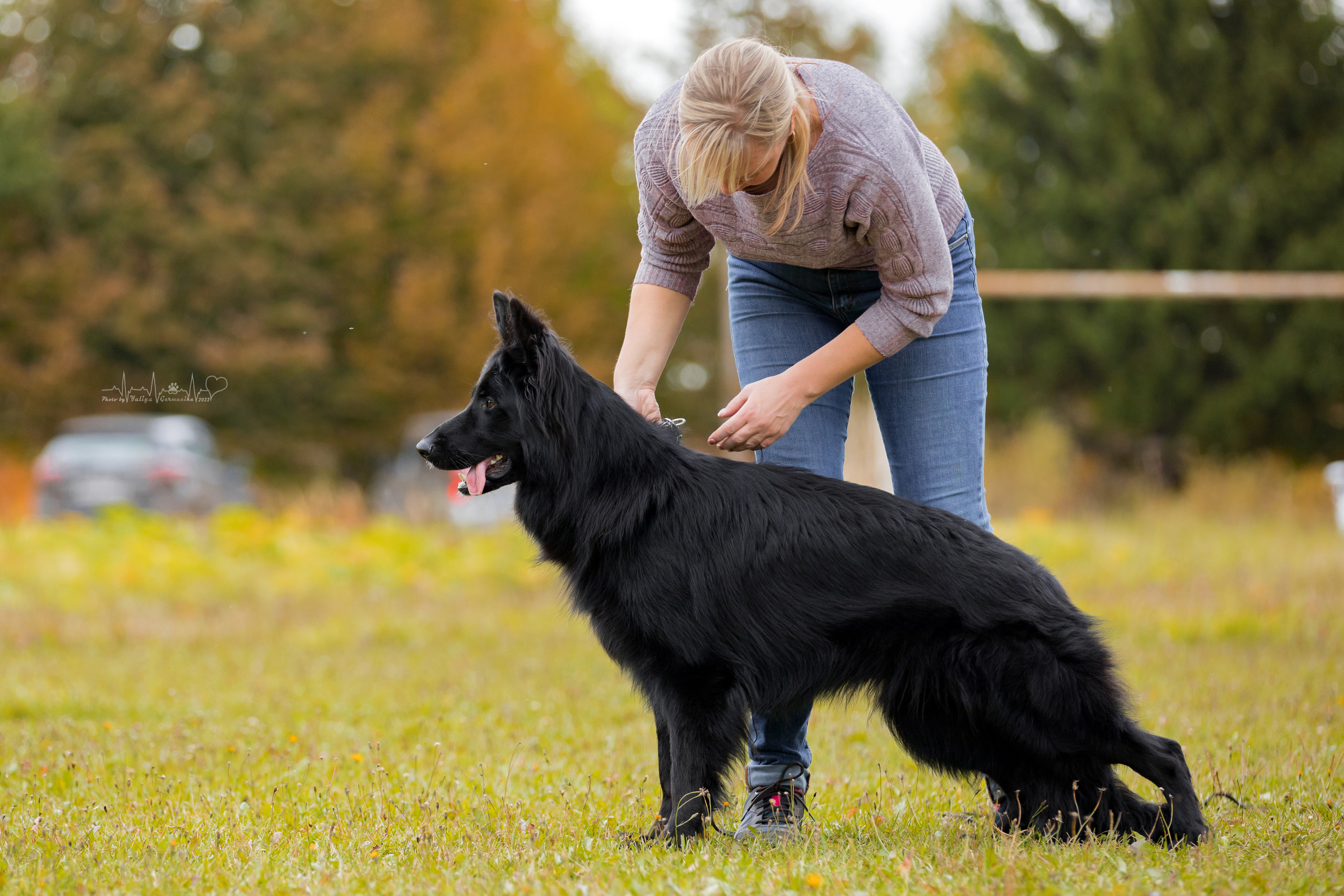 Тверь ЧРКФ 18.09.2022. Фотограф-анималист Юлия Германика