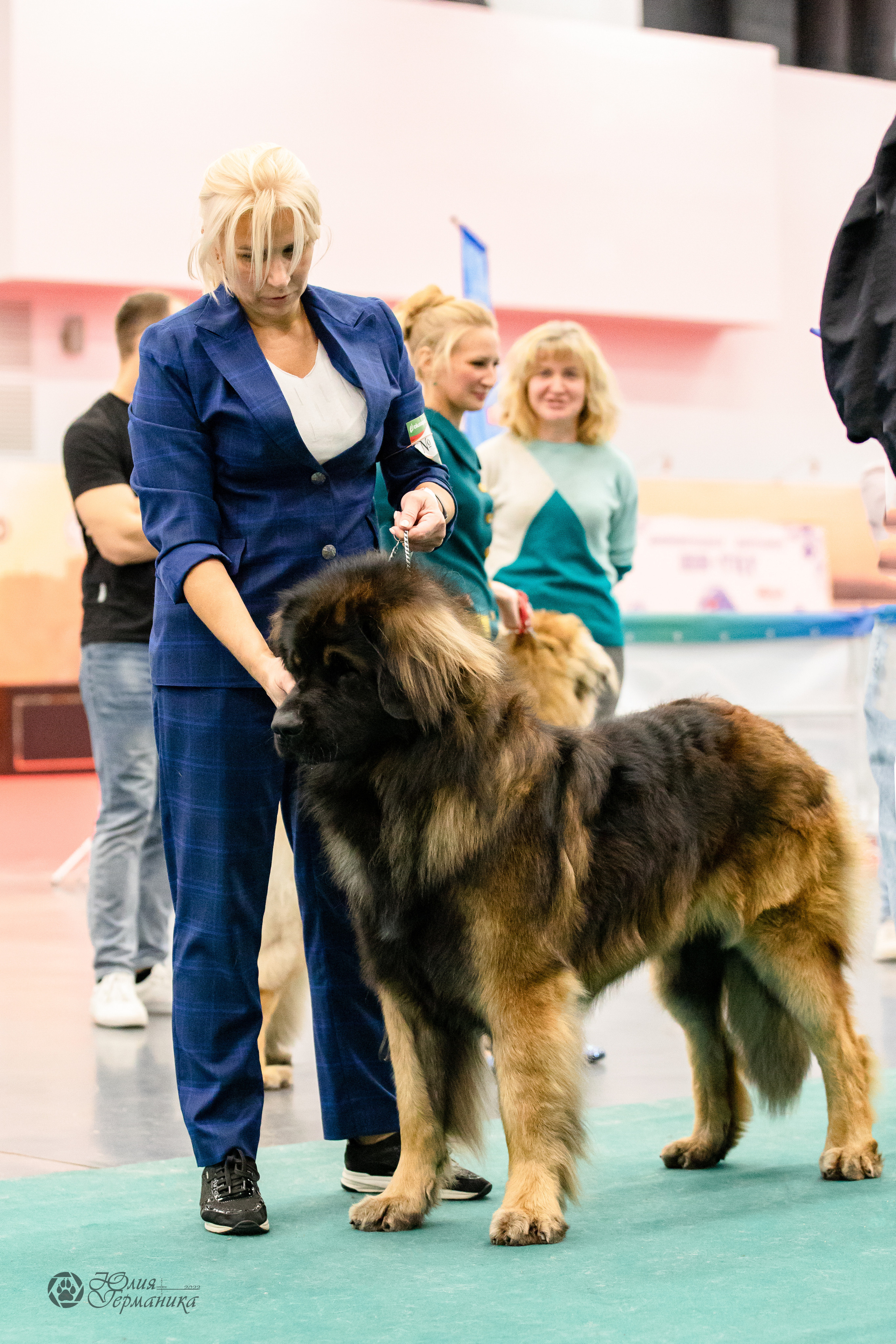 Нижний Новгород 15-16.10.2022. Фотограф-анималист Юлия Германика