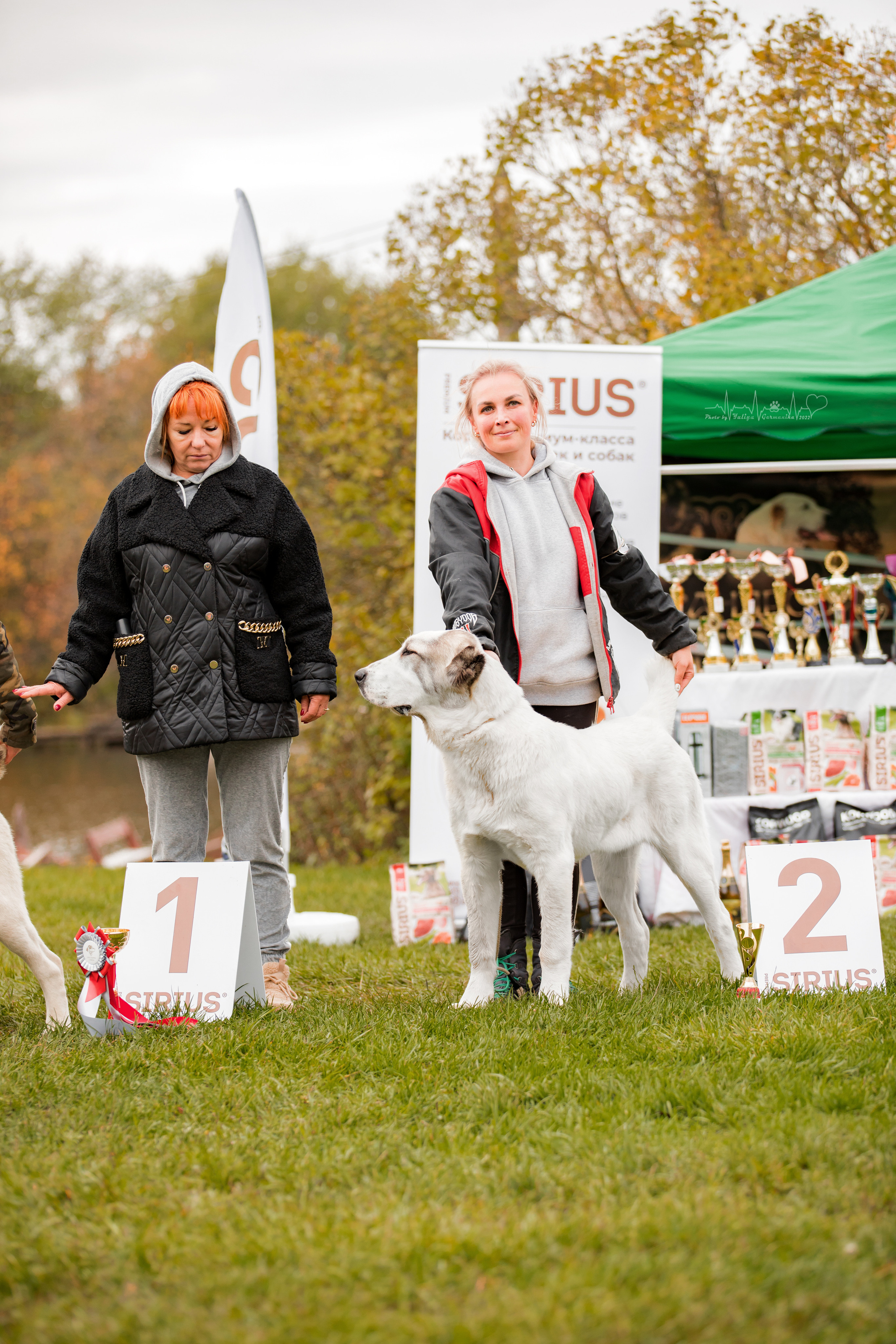 Александрова Слобода моно сао 2.10.2022. Фотограф-анималист Юлия Германика