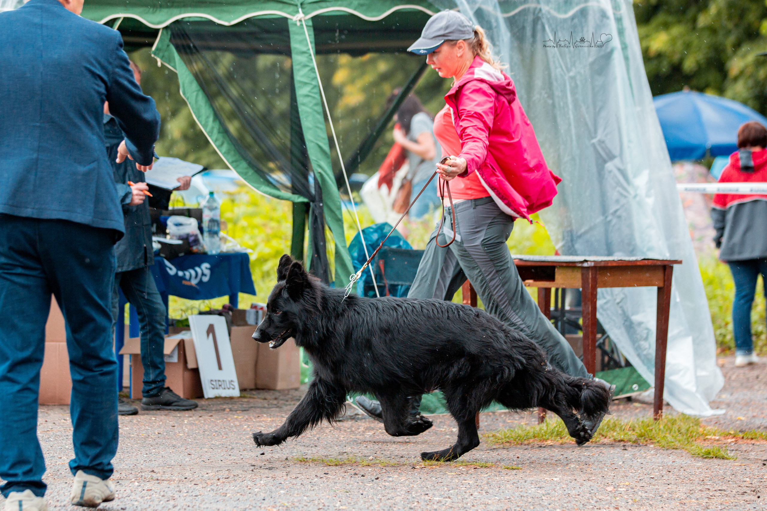 Ховрино 31.07,Чайна-Таун 6.08,Тверь 7.08. Фотограф-анималист Юлия Германика