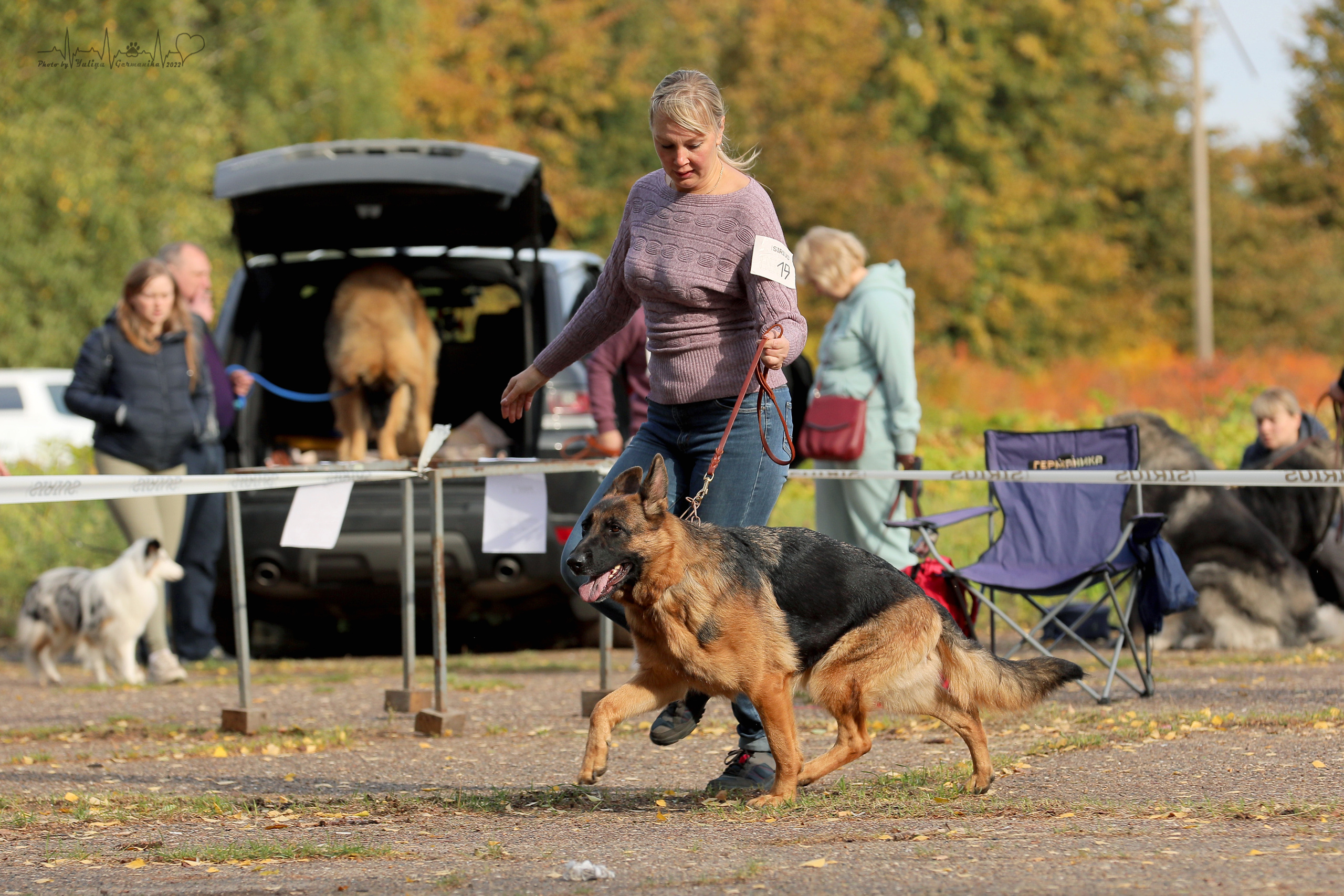 Тверь ЧРКФ 18.09.2022. Фотограф-анималист Юлия Германика