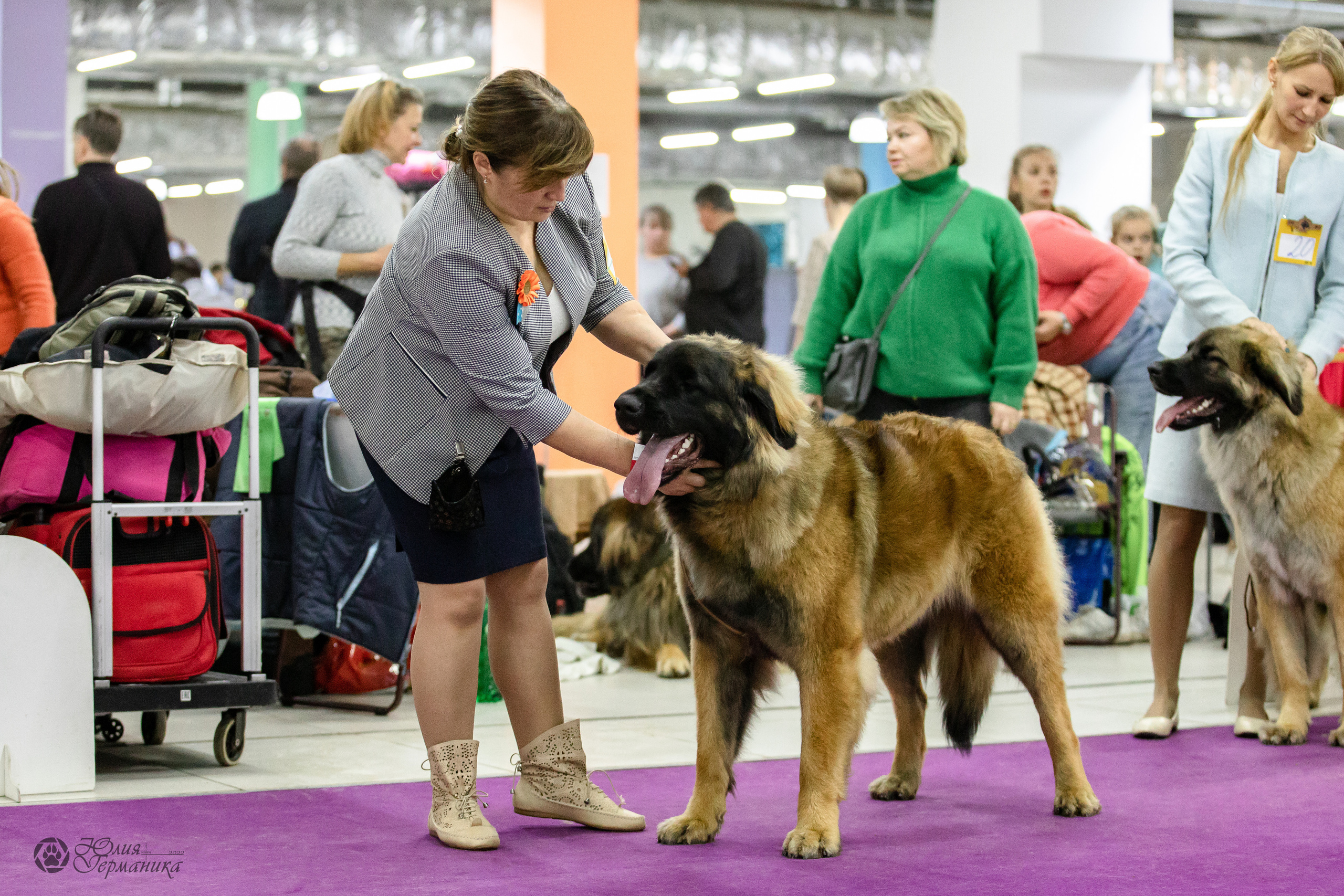 Чайна-Таун 29-30.10.2022. Фотограф-анималист Юлия Германика