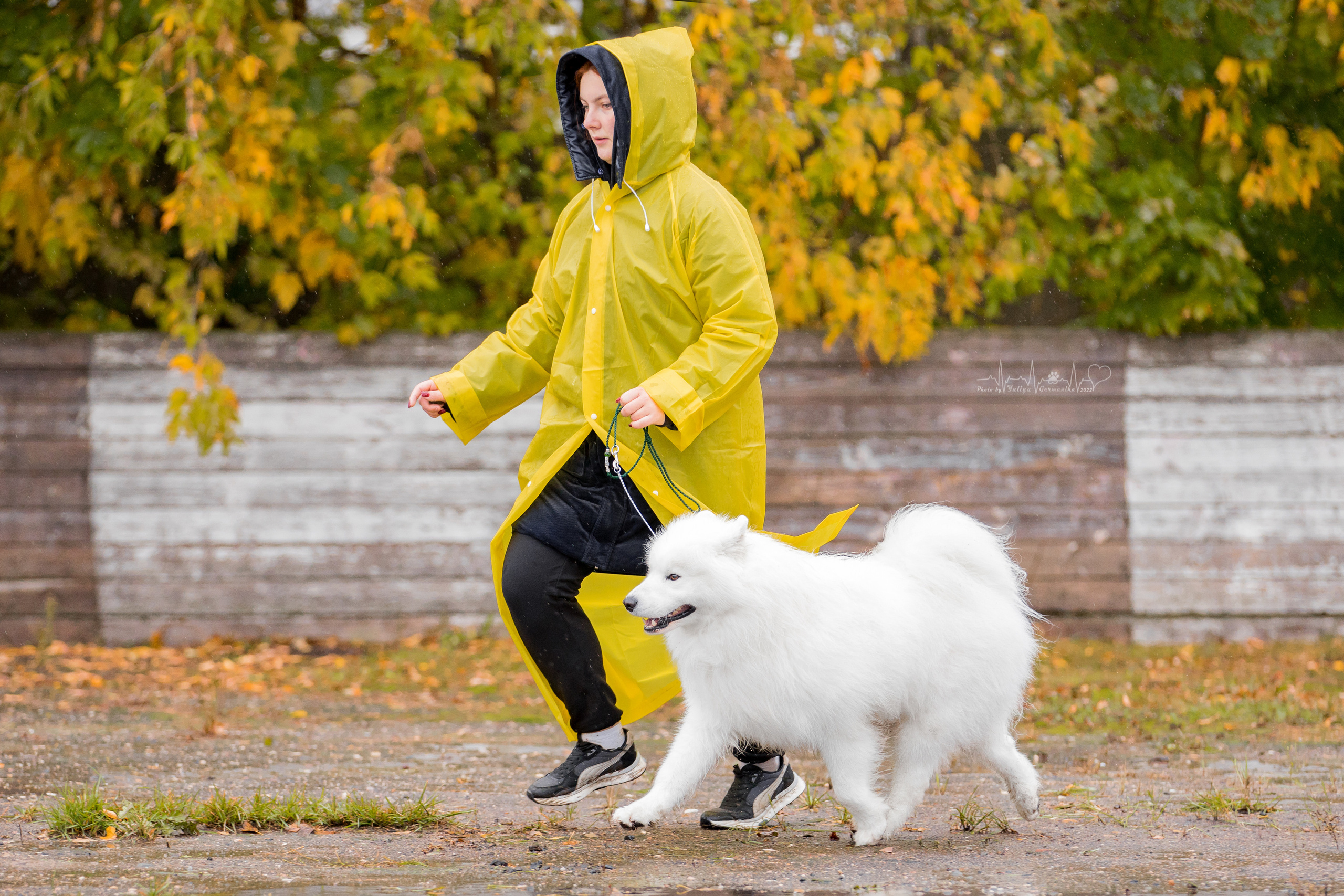 Александров 24.09.2022. Фотограф-анималист Юлия Германика