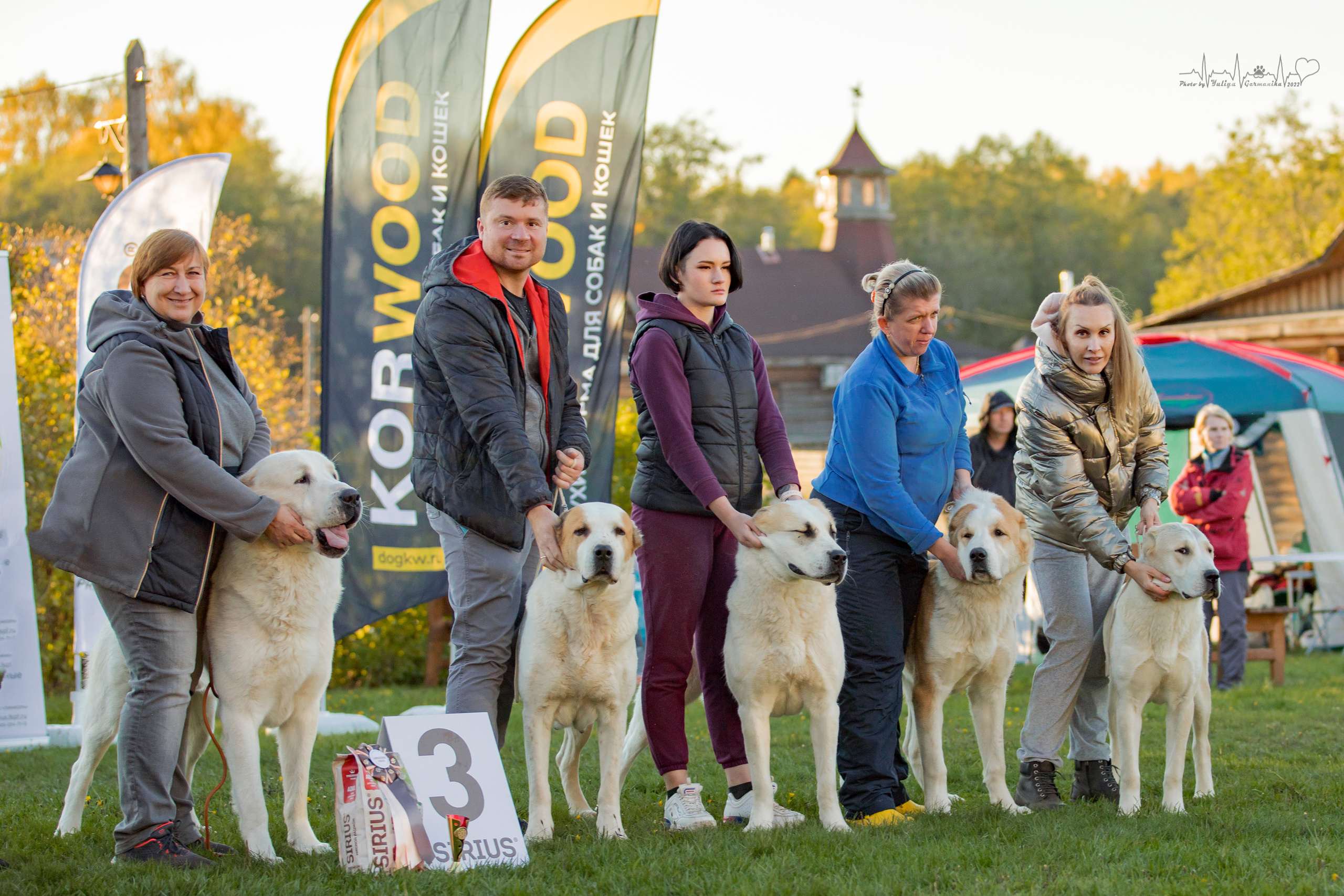 Александрова Слобода моно сао 2.10.2022. Фотограф-анималист Юлия Германика
